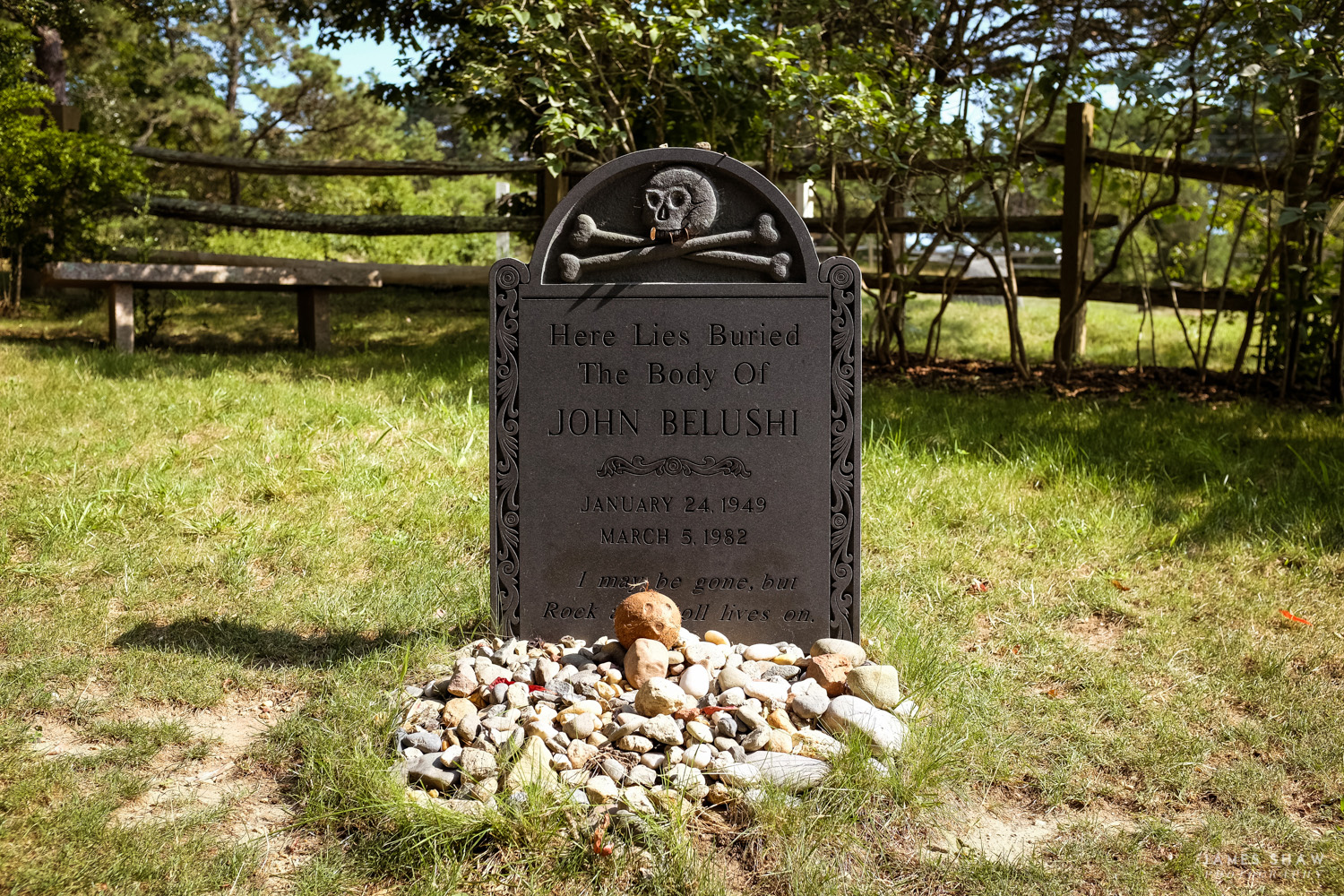 DSCF2050.jpg