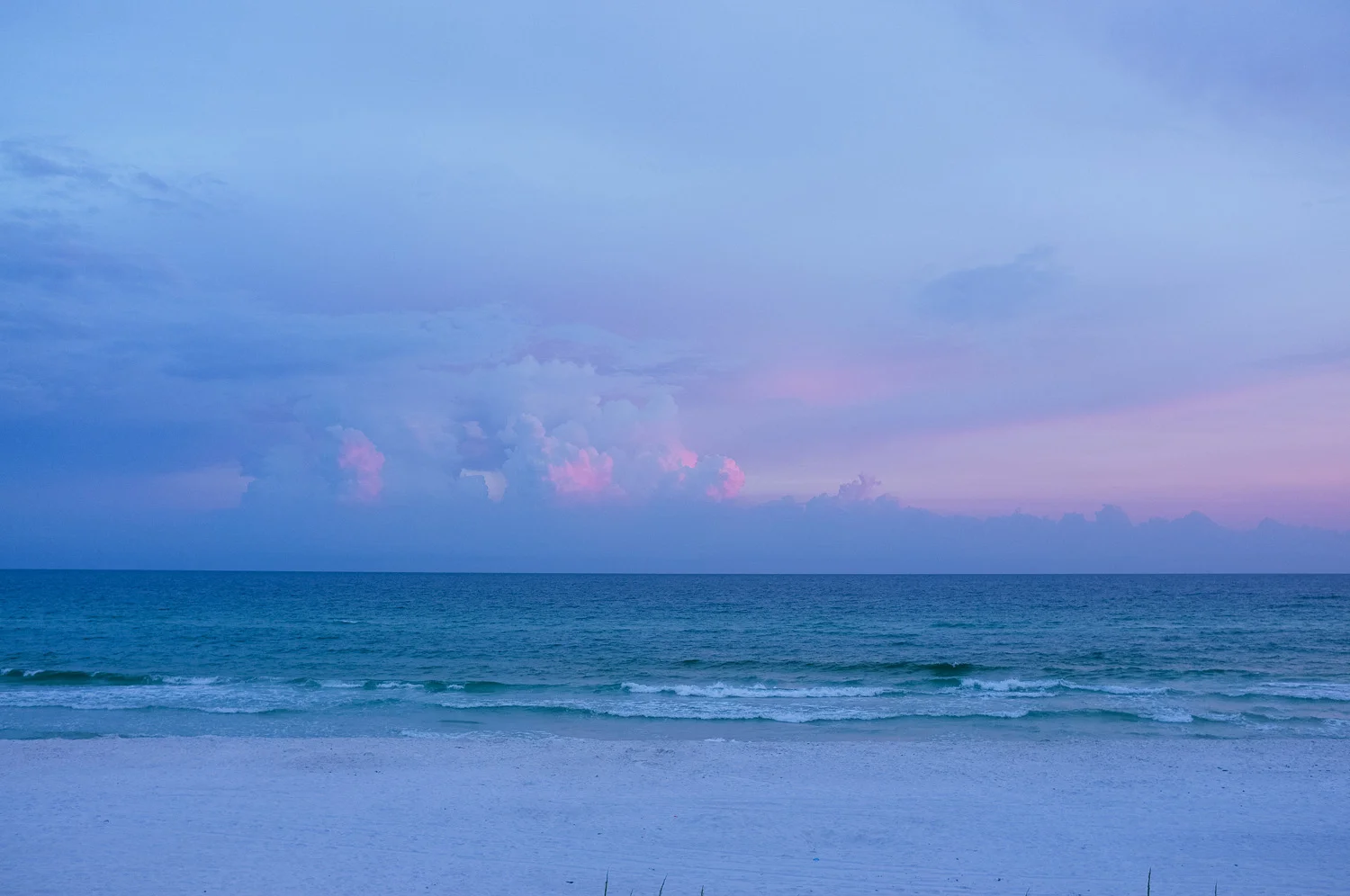 DSCF8339.jpg