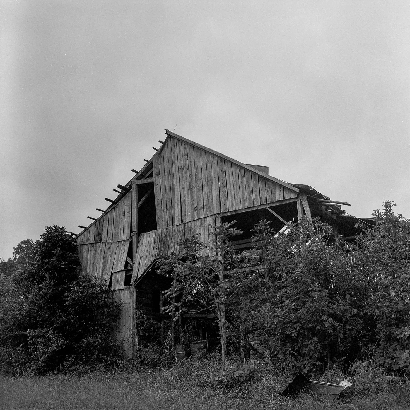 img024.jpg