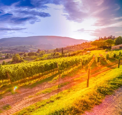 iStock-894194596.jpg