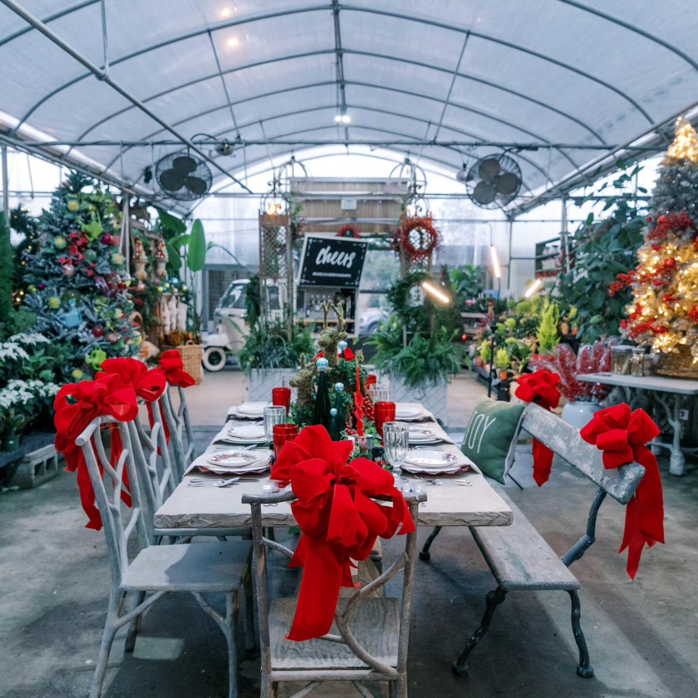 Penny's Christmas Vibes, Sooo whimsical!!! Enjoyed our time with you @walkinginmemphisinhighheels. 

Planning a small dinner with family and friends??? 

@marykatesteele - photography
@millstonenursery - venue and centerpiece styling
@feastandgraze -