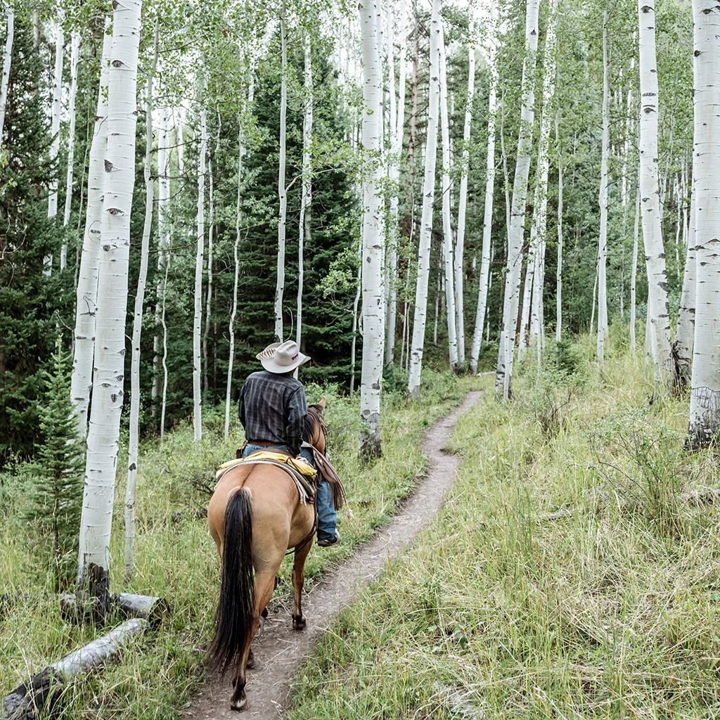 SnowmassCreekOutfittersTwoHourRideAspenSnowmass.jpg