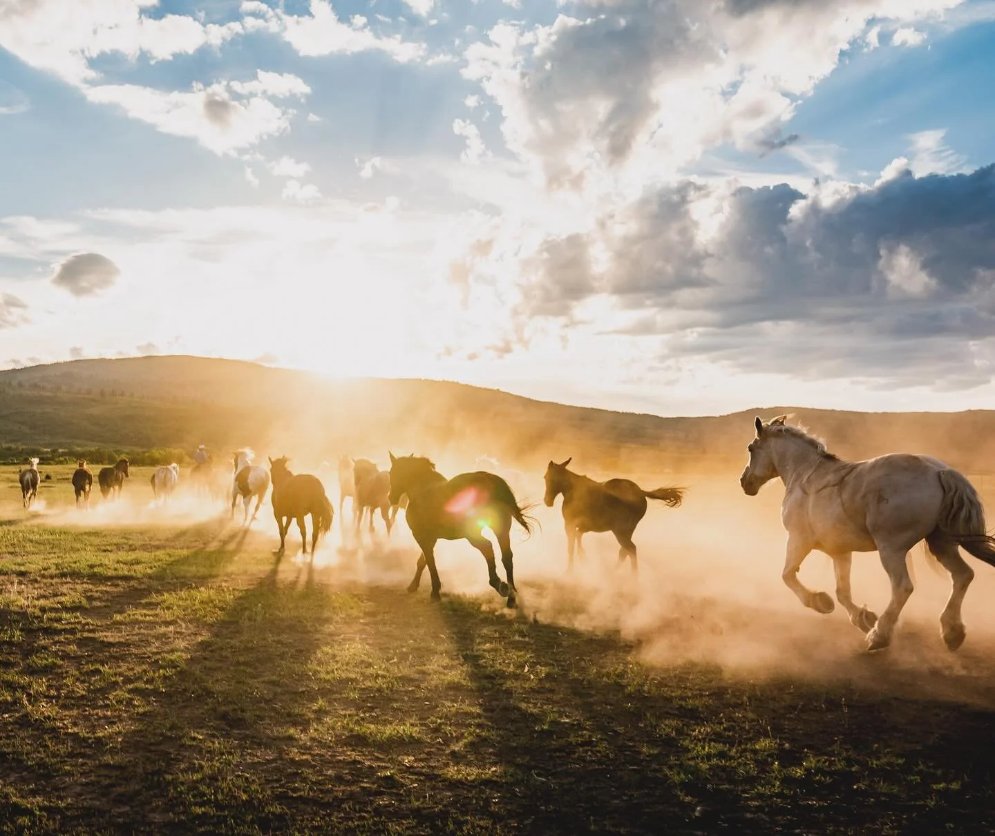 Those weekend vibes at the ranch&hellip;

Photo by @johnnyvacay

#aspen #snowmass #horsebackriding #horsesofinstagram #keepingthewestwildsince1978 #ranchy