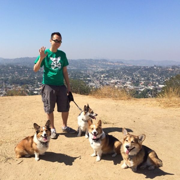 Like many other like minded teens, Michael Dong ’s obsession with corgis started with S1E2 of Cowboy Bebop. And like many at that age, concepts of animal welfare were beyond reach. 3 corgis, 15 years, and many lessons later, Mike now runs back office operations for Queen’s Best Stumpy Dog rescue. During his free time he enjoys food, gaming, and sleep (usually in that order). His days are spent holed up in the office doing corporate contract accounting at one of the major Hollywood studios.