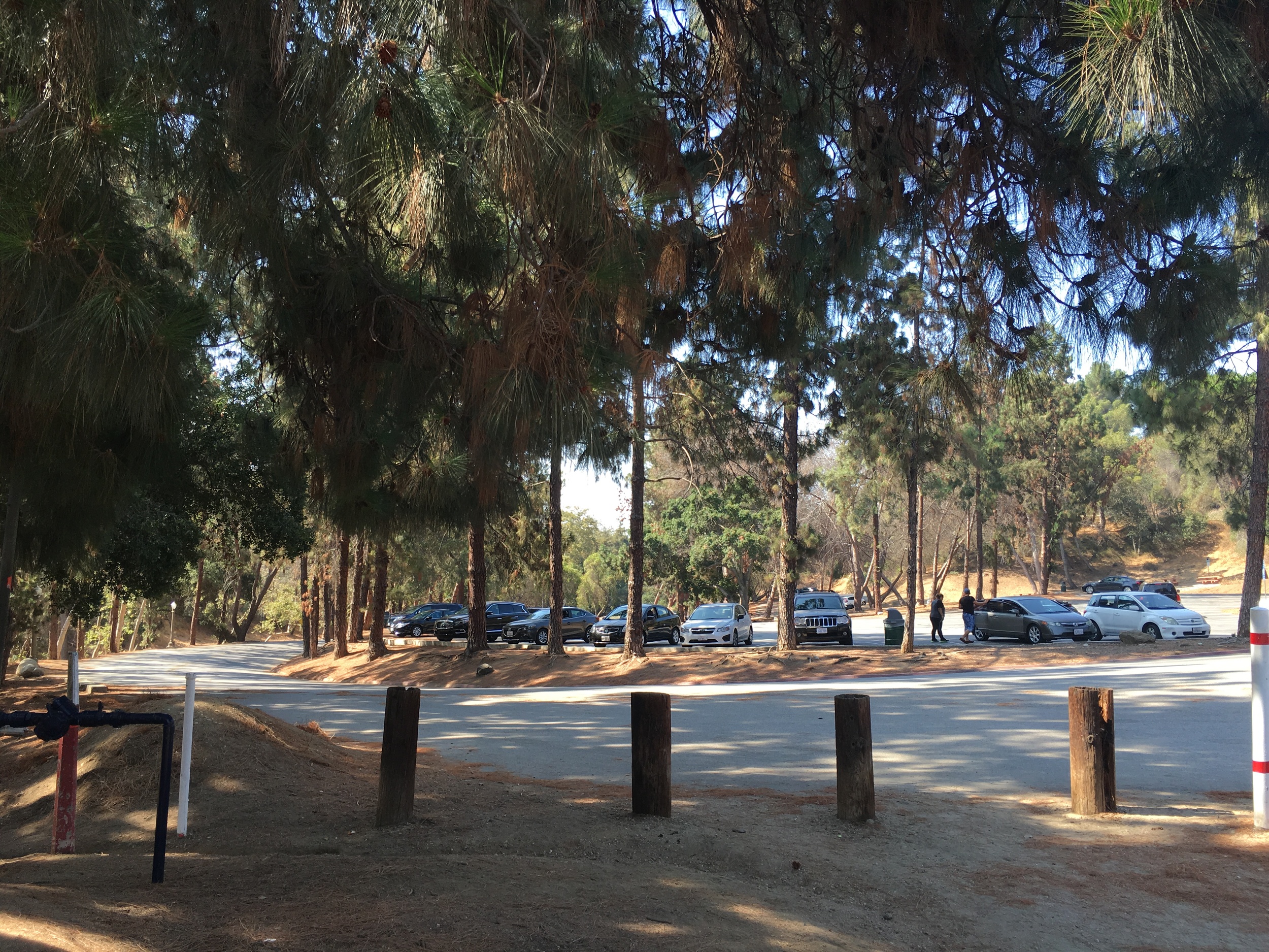 Looking towards the parking lot. 