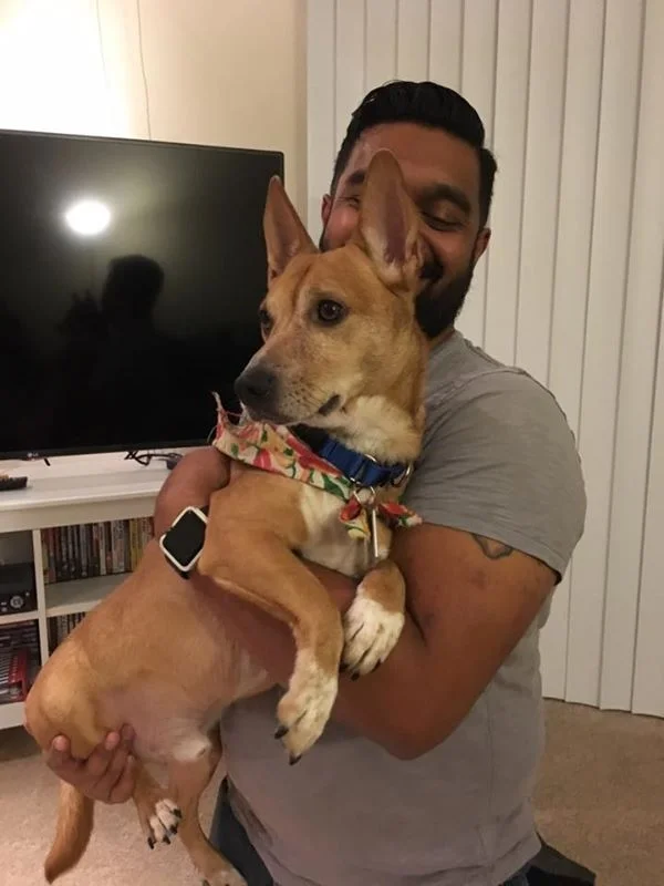 Copy of Nelson in his forever home with papa CJ!