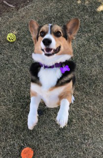 chance8.jpg