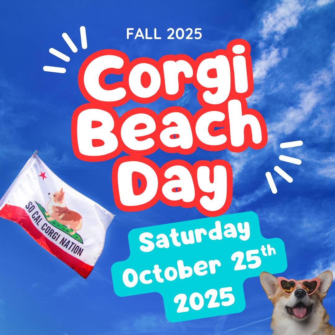 SoCal Corgi Beach Day - Fall Edition