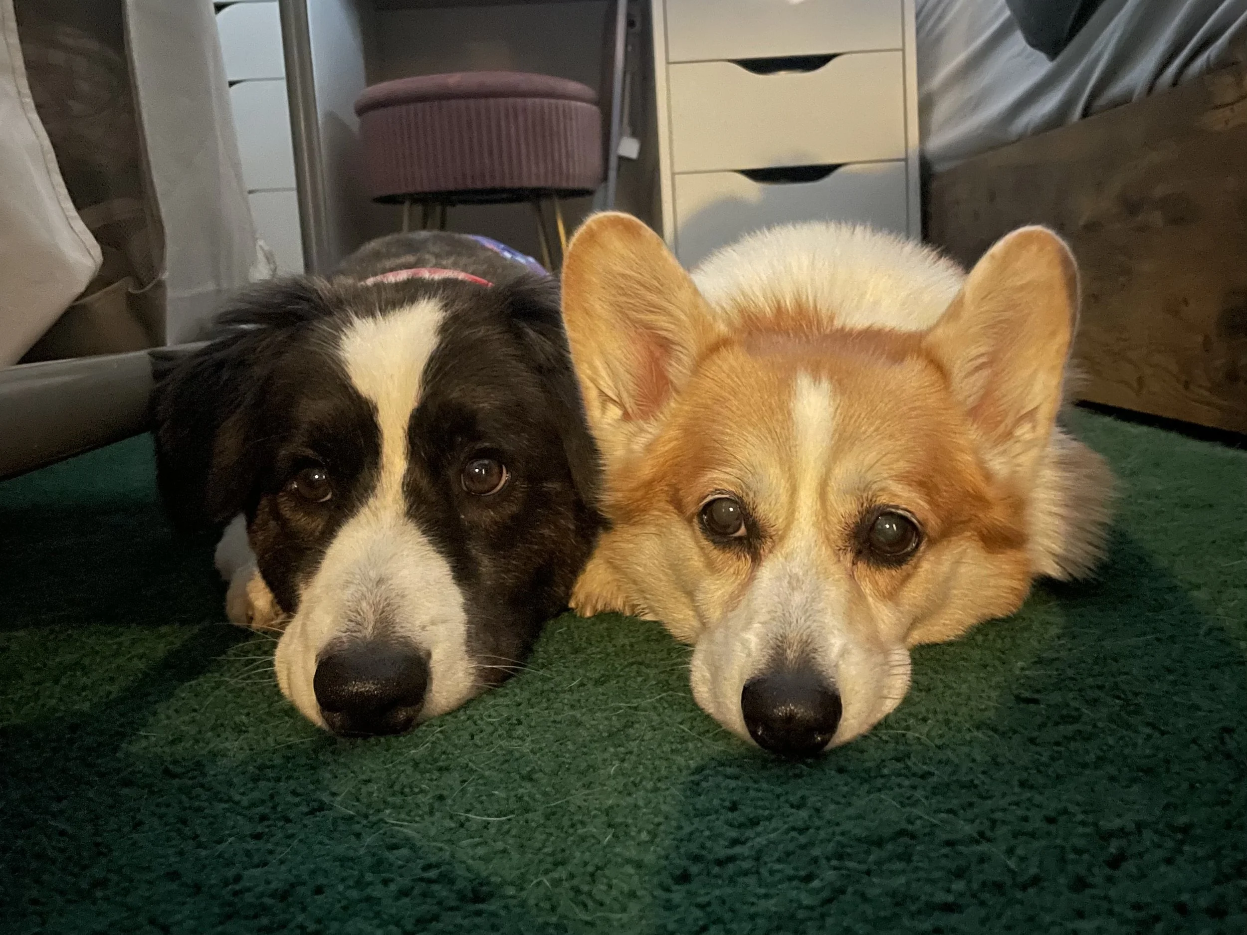 NorCal hike with Alumni MJ & Rozy - Redwood Bowl