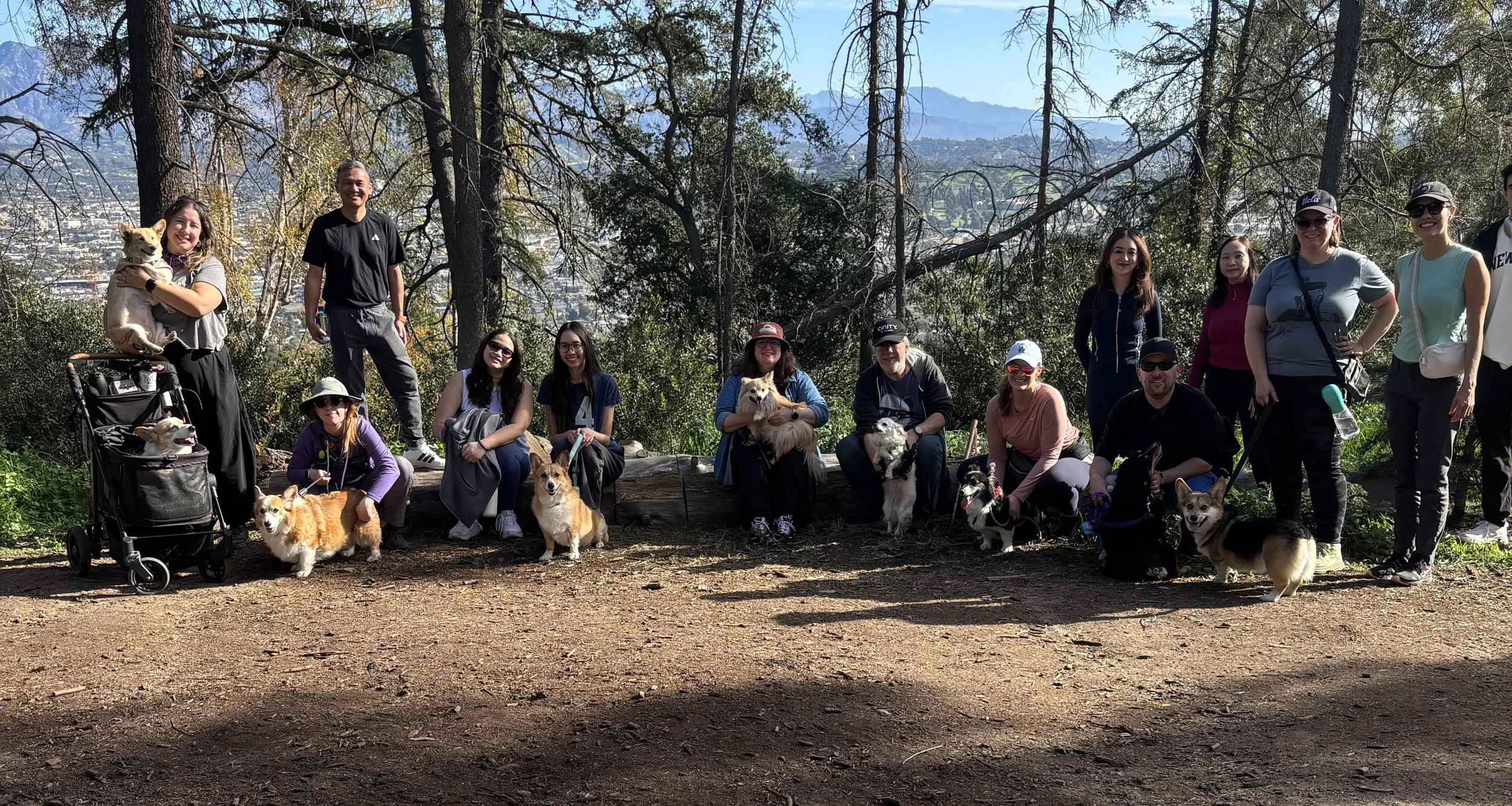 Hike - From the Greek to the Cedar Grove