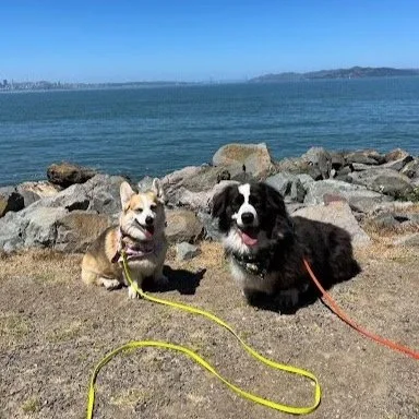 NorCal hike with Alumni MJ &amp; Rozy - Berkeley Cesar Chavez Park