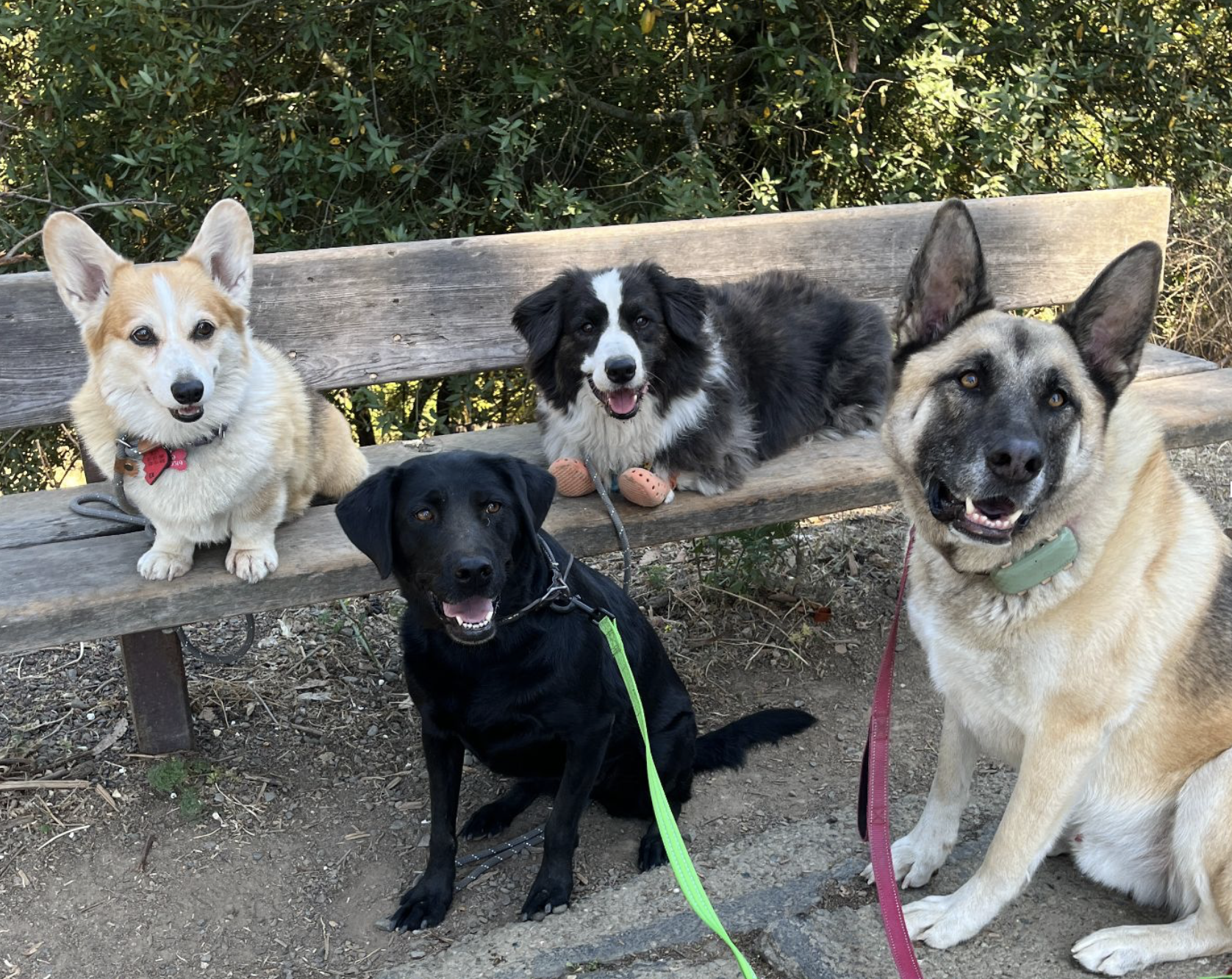 NorCal Hike with Alumni MJ &amp; Rozy