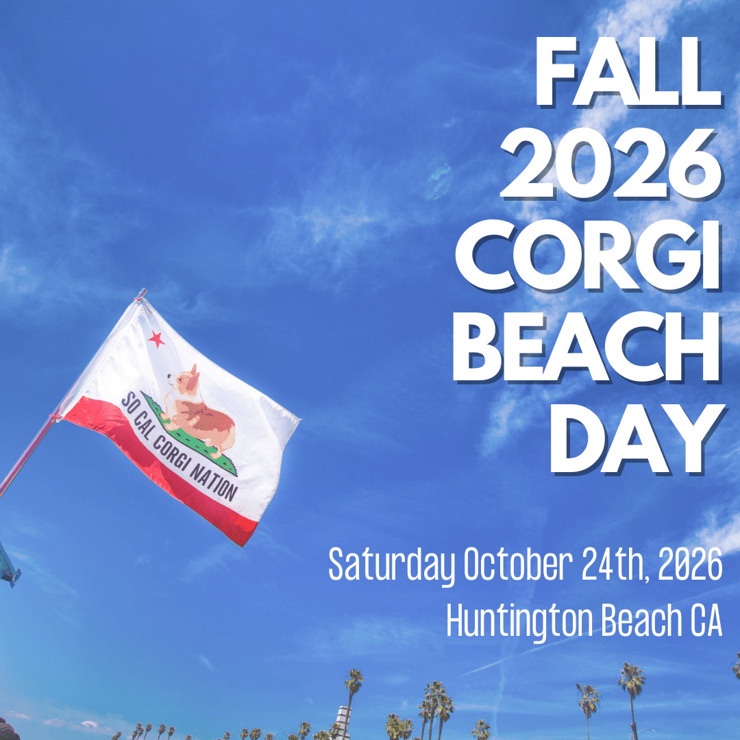 SoCal Corgi Beach Day - Fall Edition 
