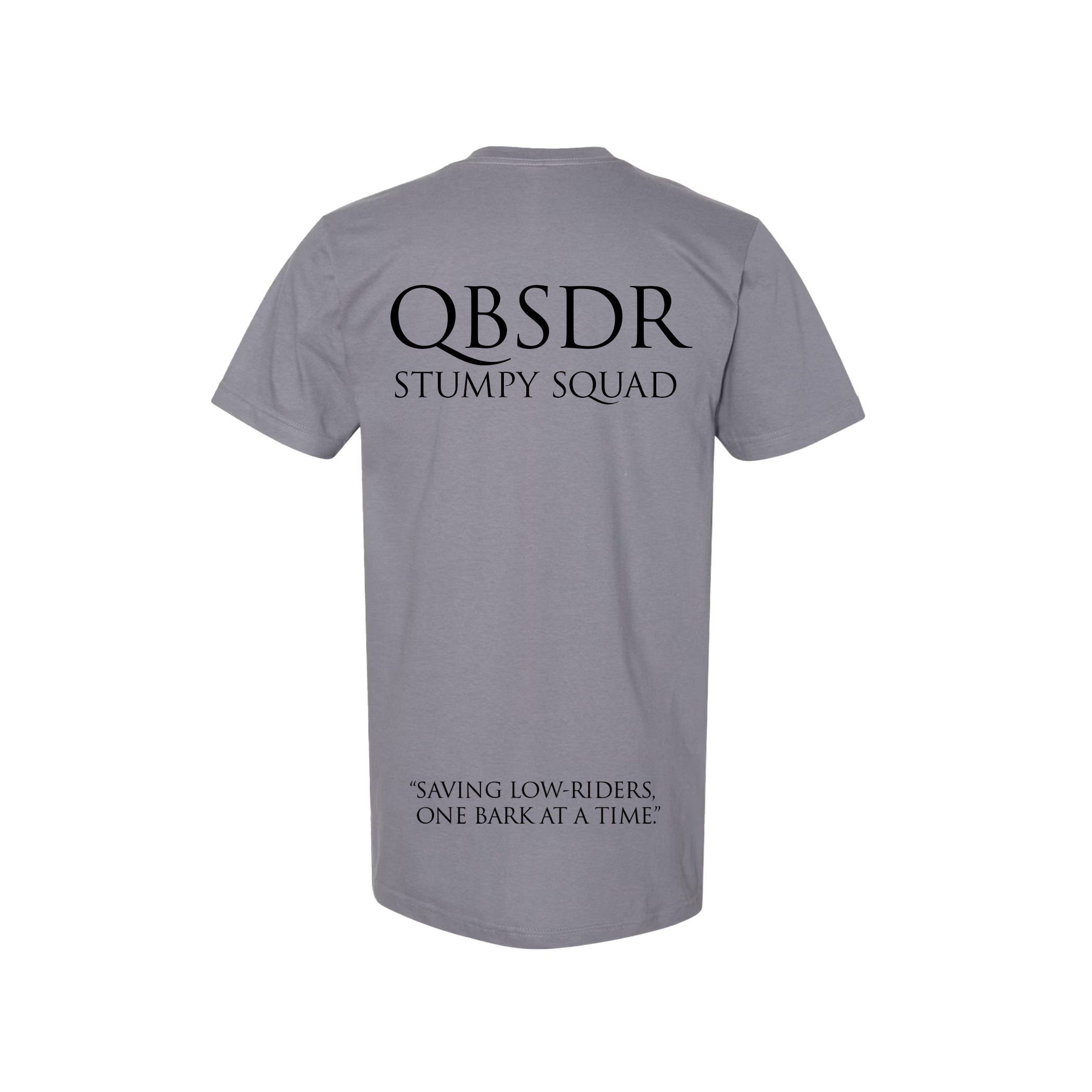 QBSDR-LOGO-T-GRAY-bk.jpg
