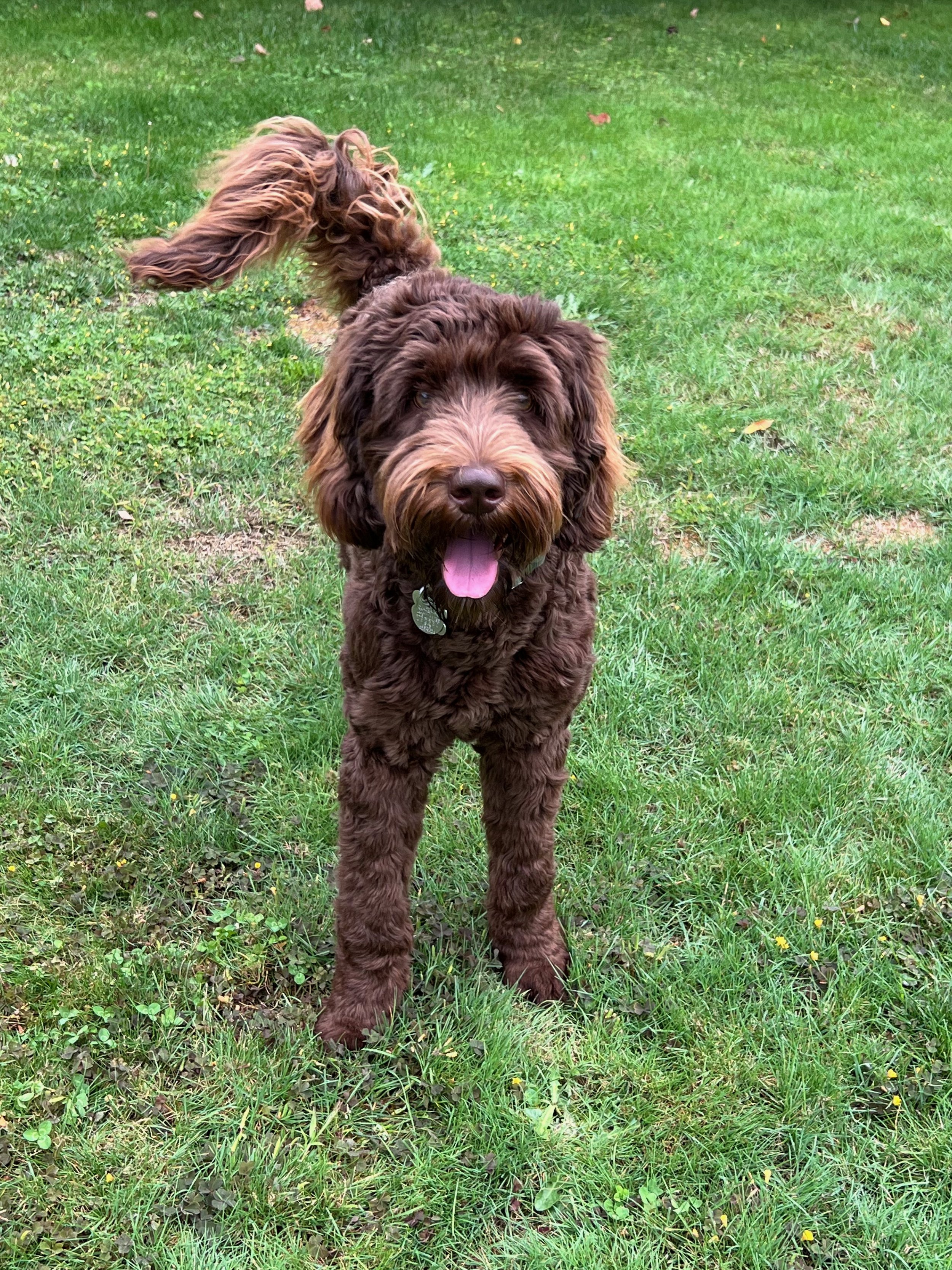 Leroy