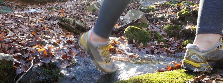 Lost Turkey Trail Marathon