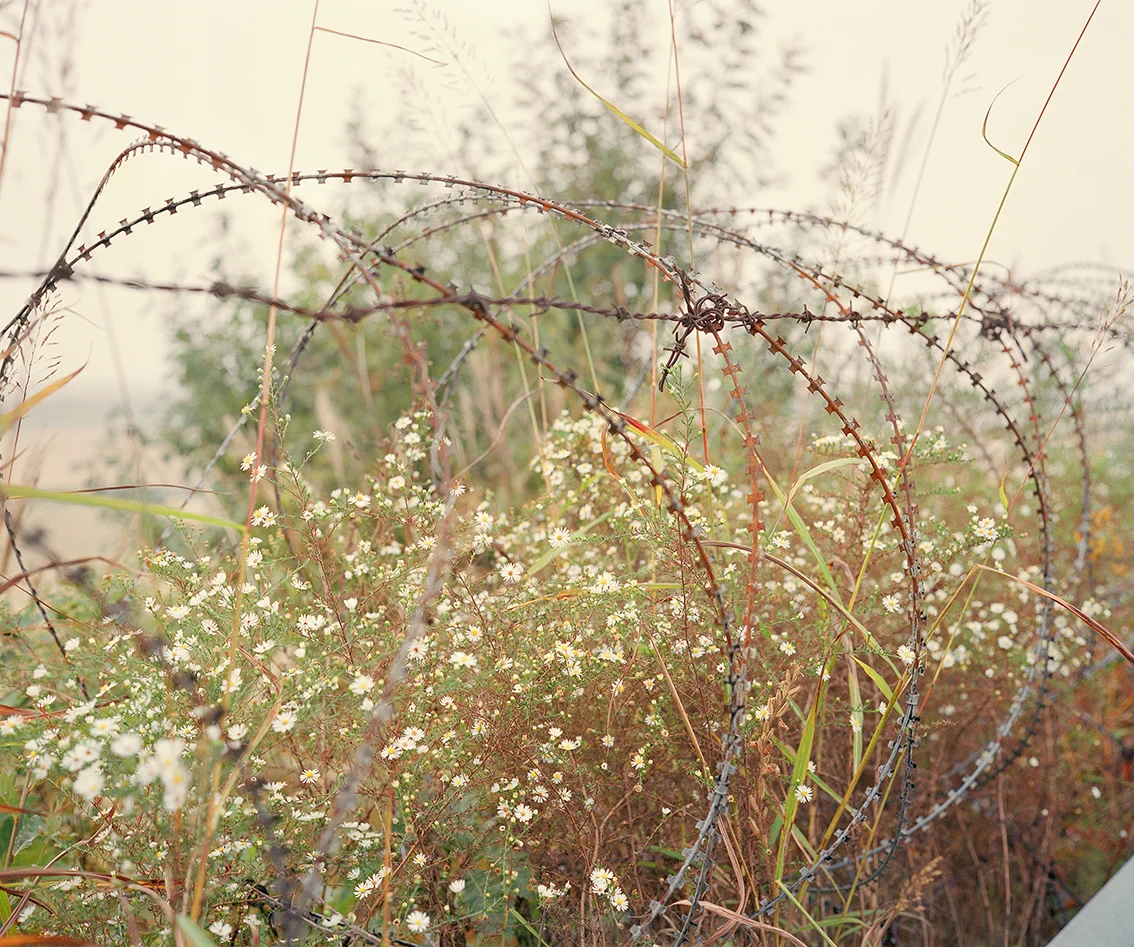 north-01.jpg