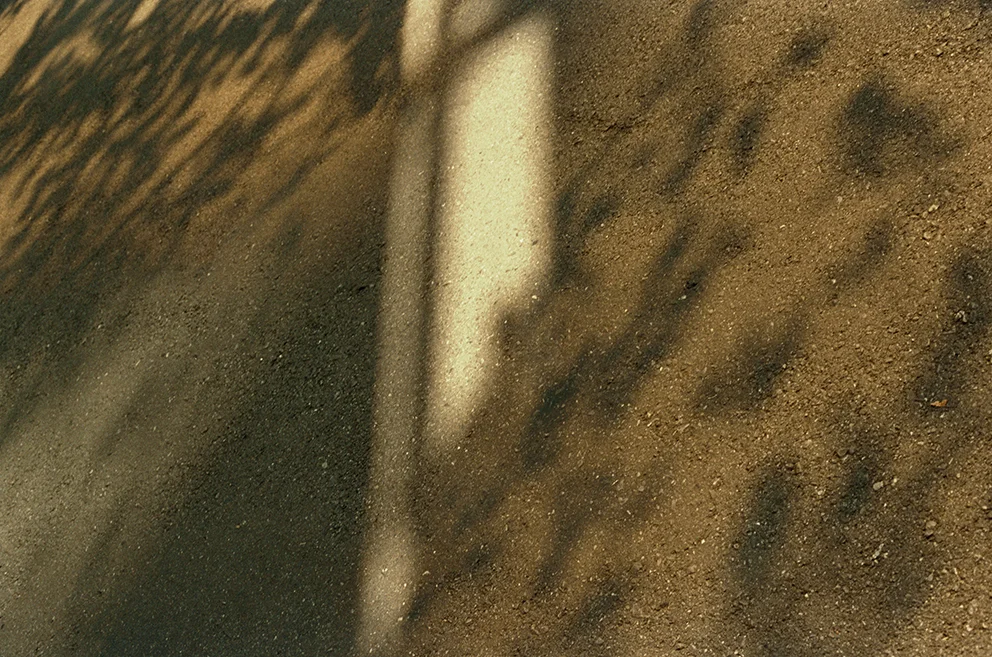 011.jpg