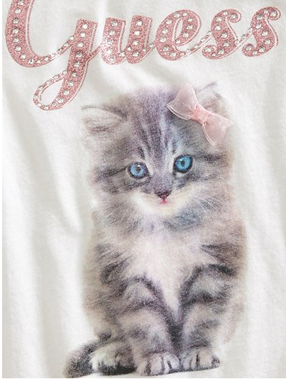 Screen Shot 2016-03-21 at 8.20.33 AM.png