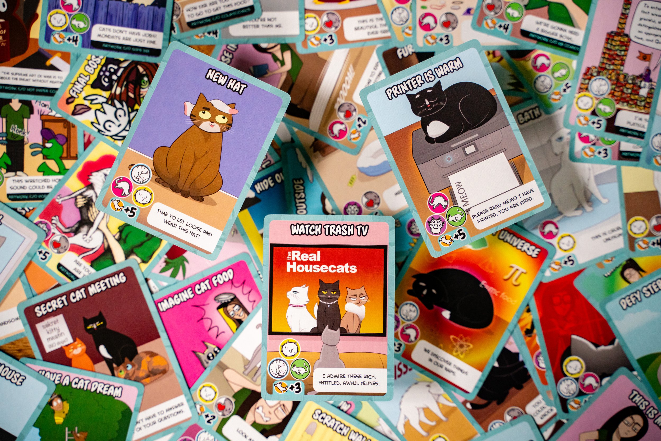 Cats vs Humans -028.jpg