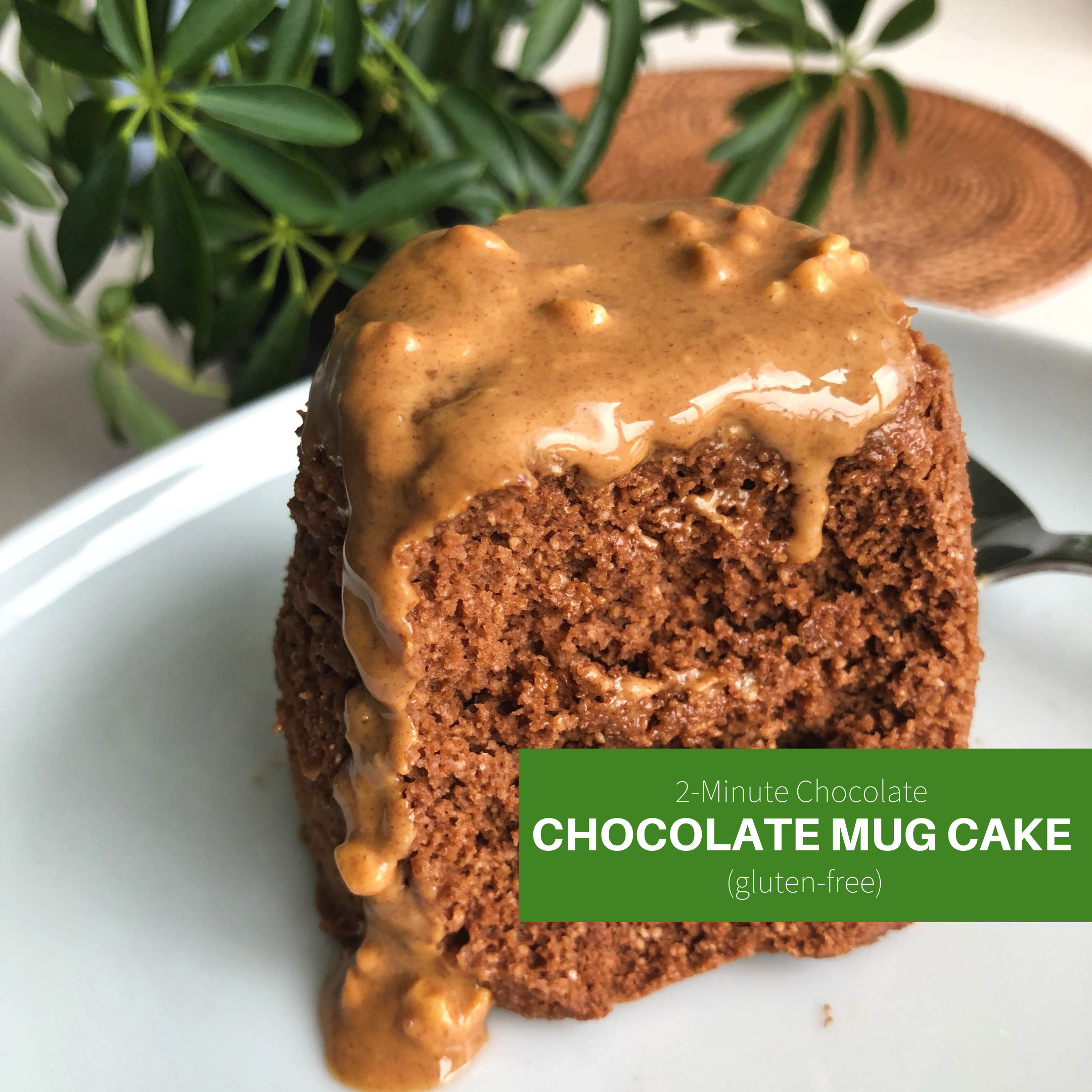 2-Minute Chocolate Mug Cake