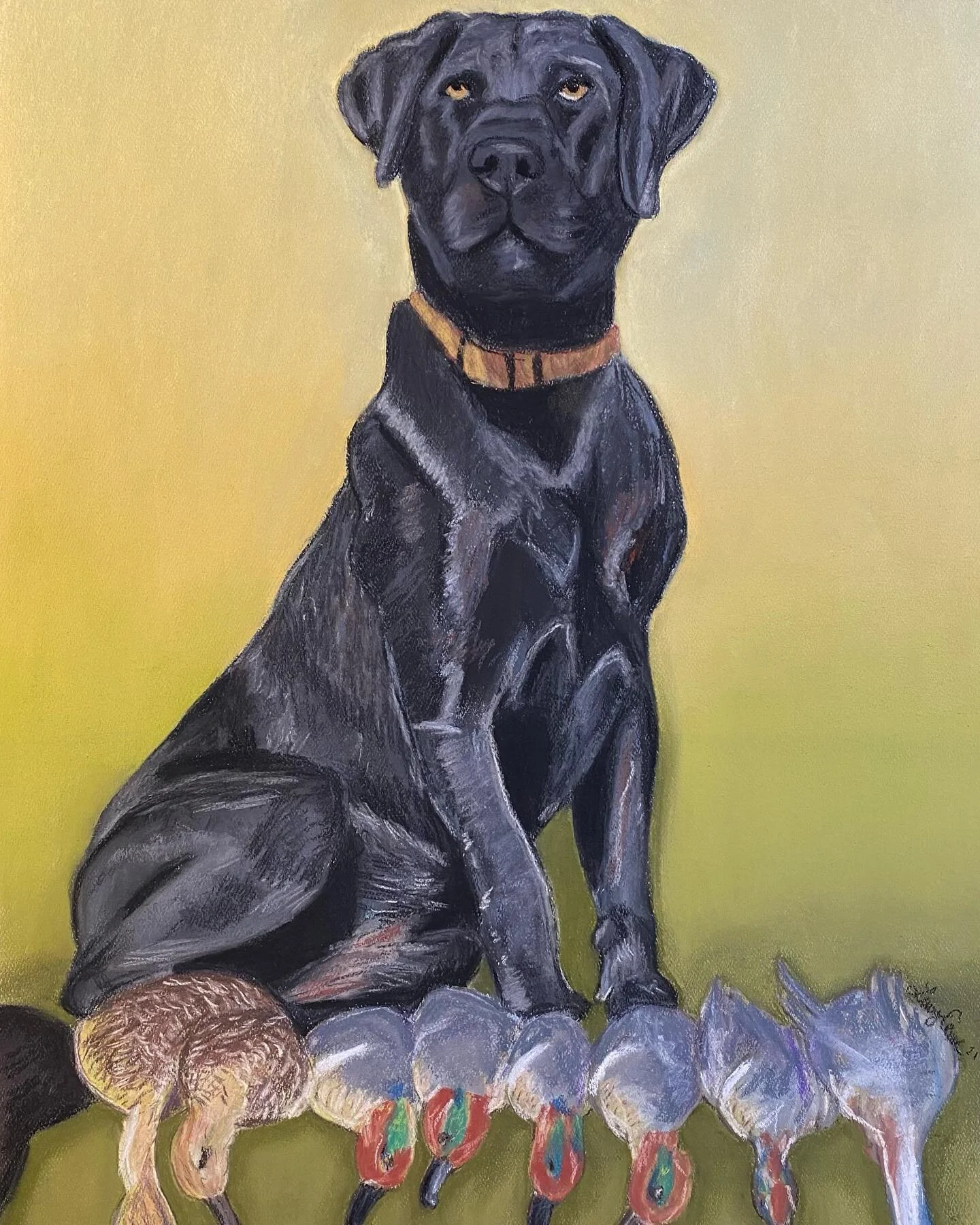I hear Moose is a great duck hunter. I think he&rsquo;s an even better model! 
#petportrait #huntingdog #duckhunting #blacklabsofinstagram #labradorretriever
