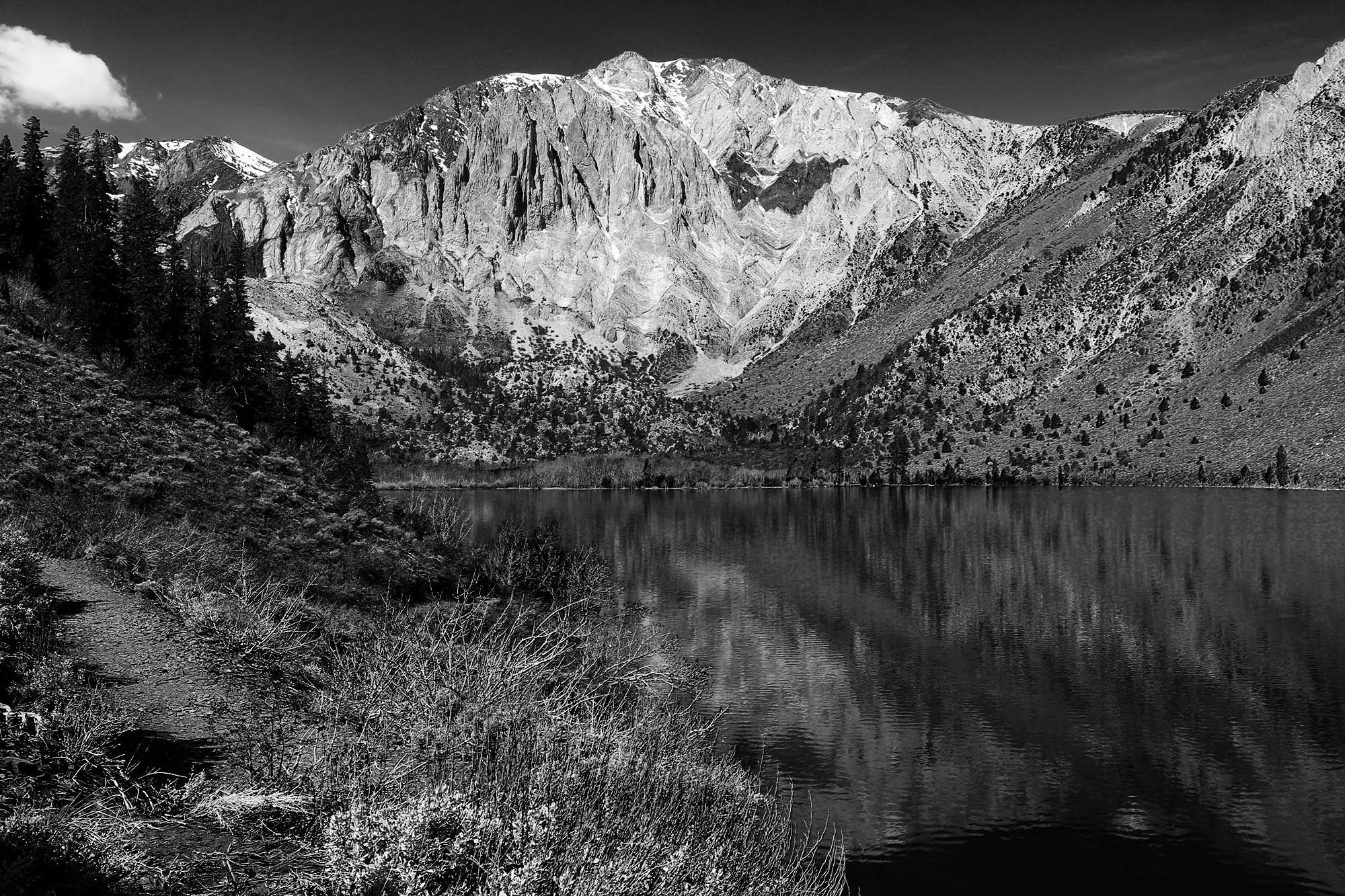 sierranevada-spring-juliebrown.jpg