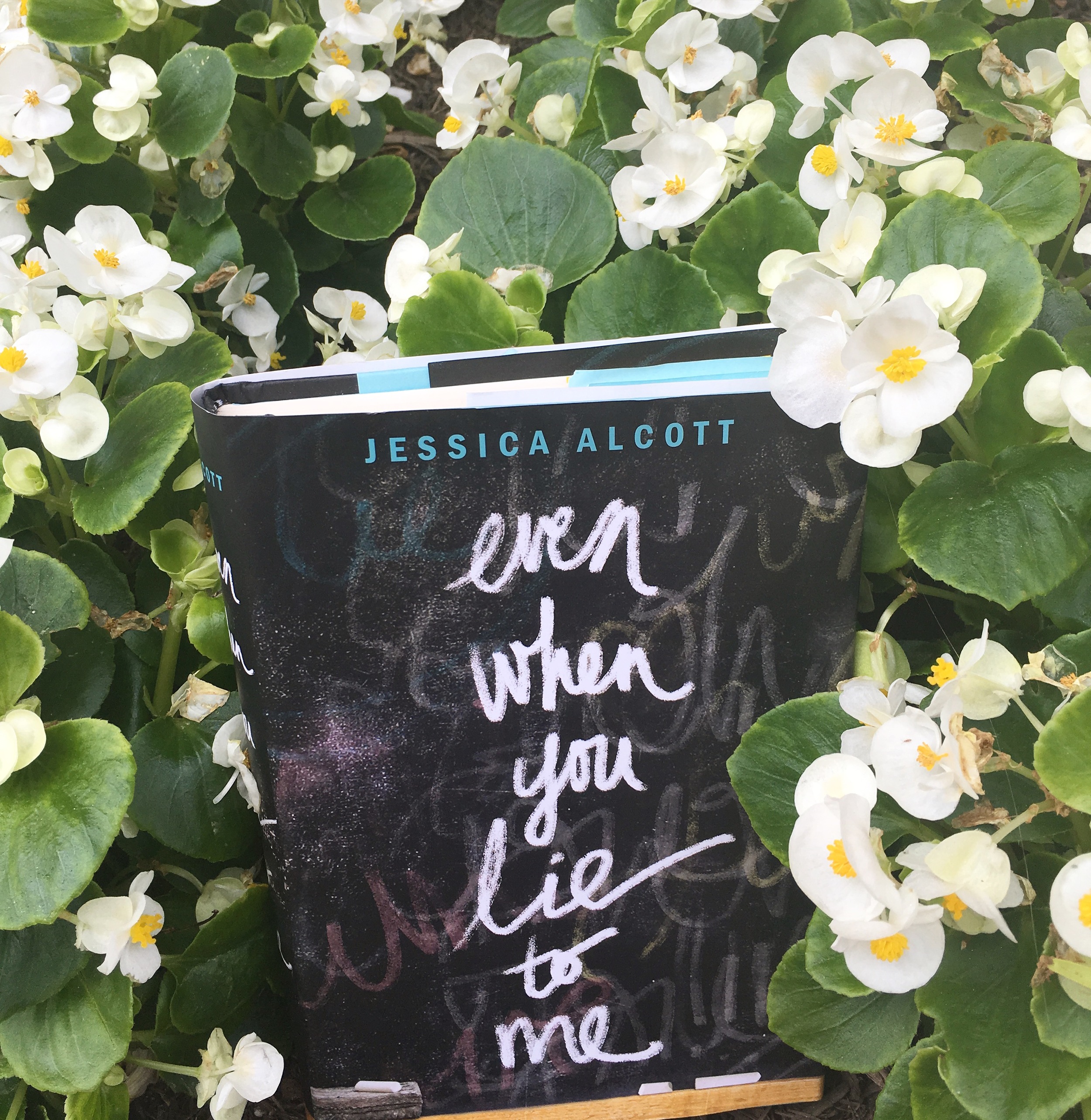 Even When You Lie to Me | Book Review