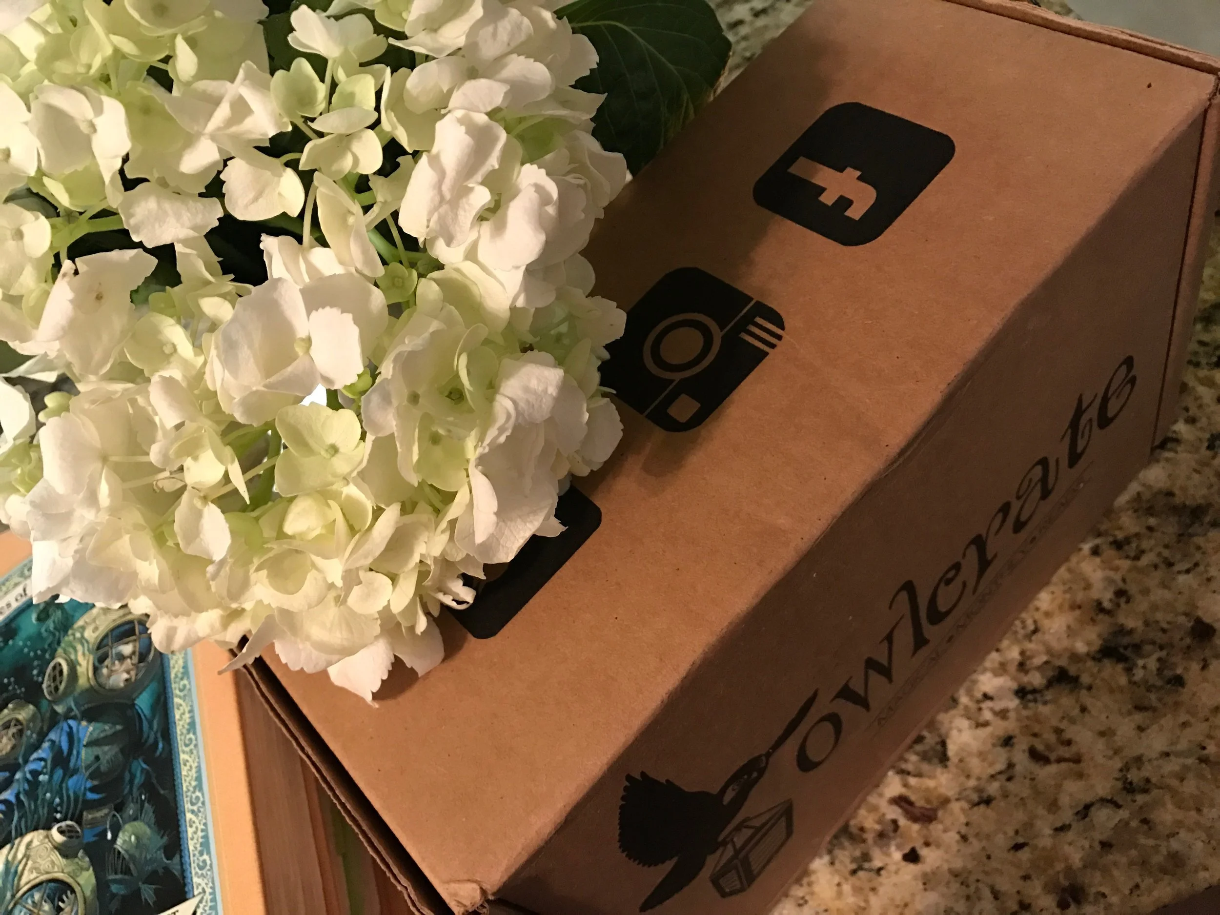 April 2017 OwlCrate Unboxing + Giveaway