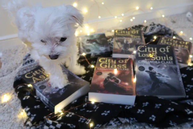 The Bookish Puppy is Back!