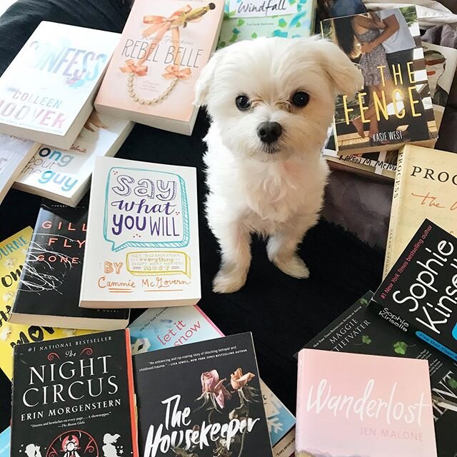 I have the best guard dog in the world. He knows what&rsquo;s important...books!📖📚
📔
📒
📕
📗
📘
#bookstagram #thebookishpuppy #bookphotography #bestguarddogever #bestguarddog