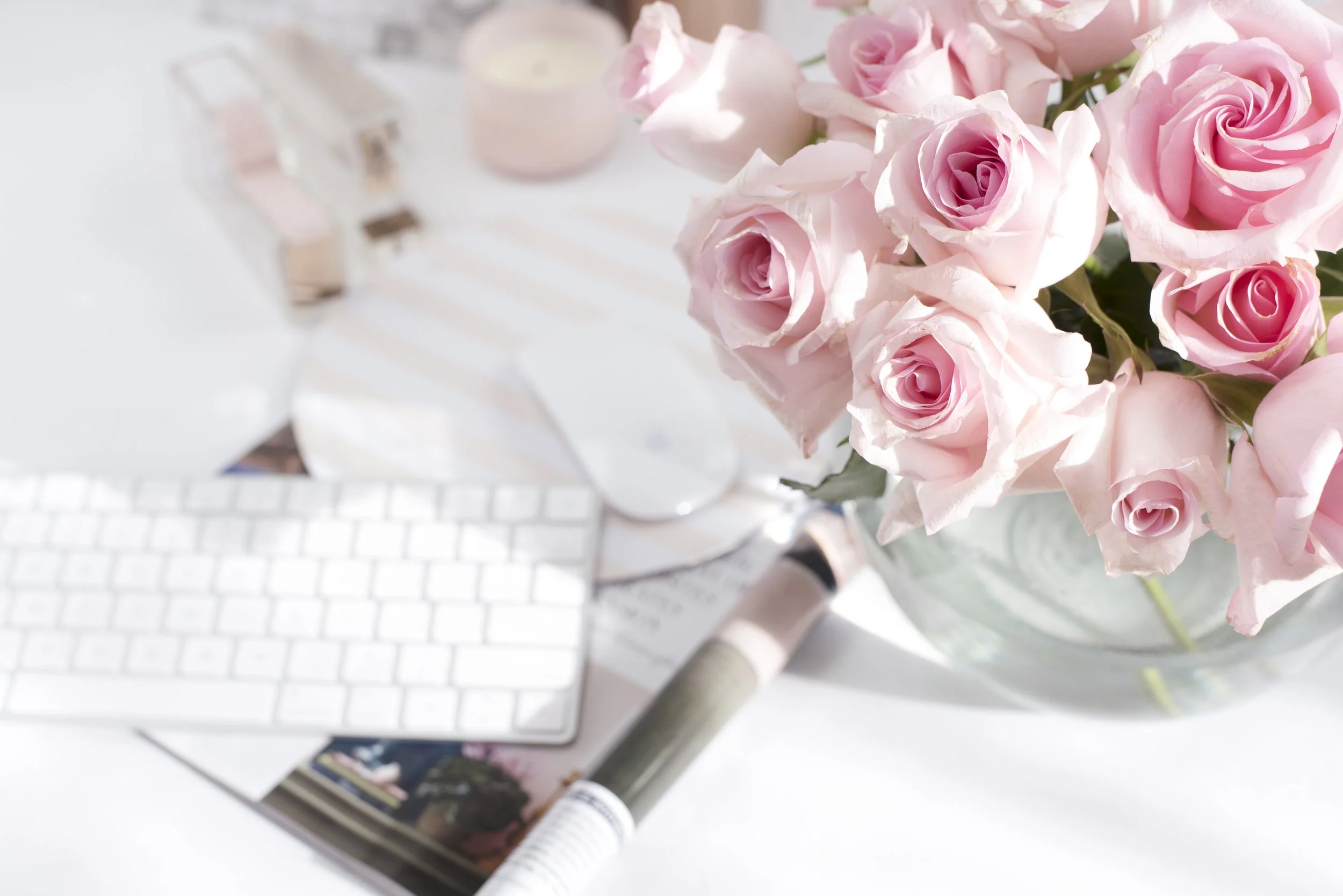 Roses in the sunshine.jpg