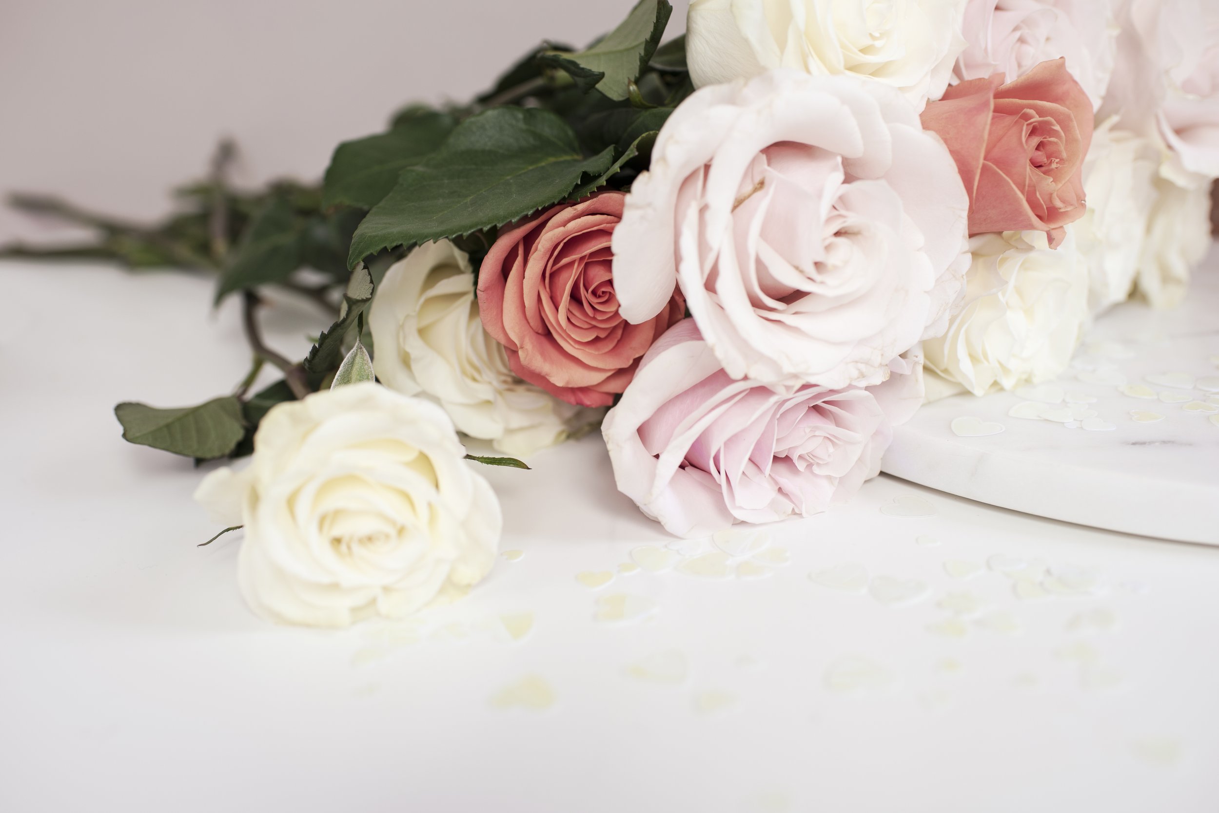 Roses Landscape 2.jpg