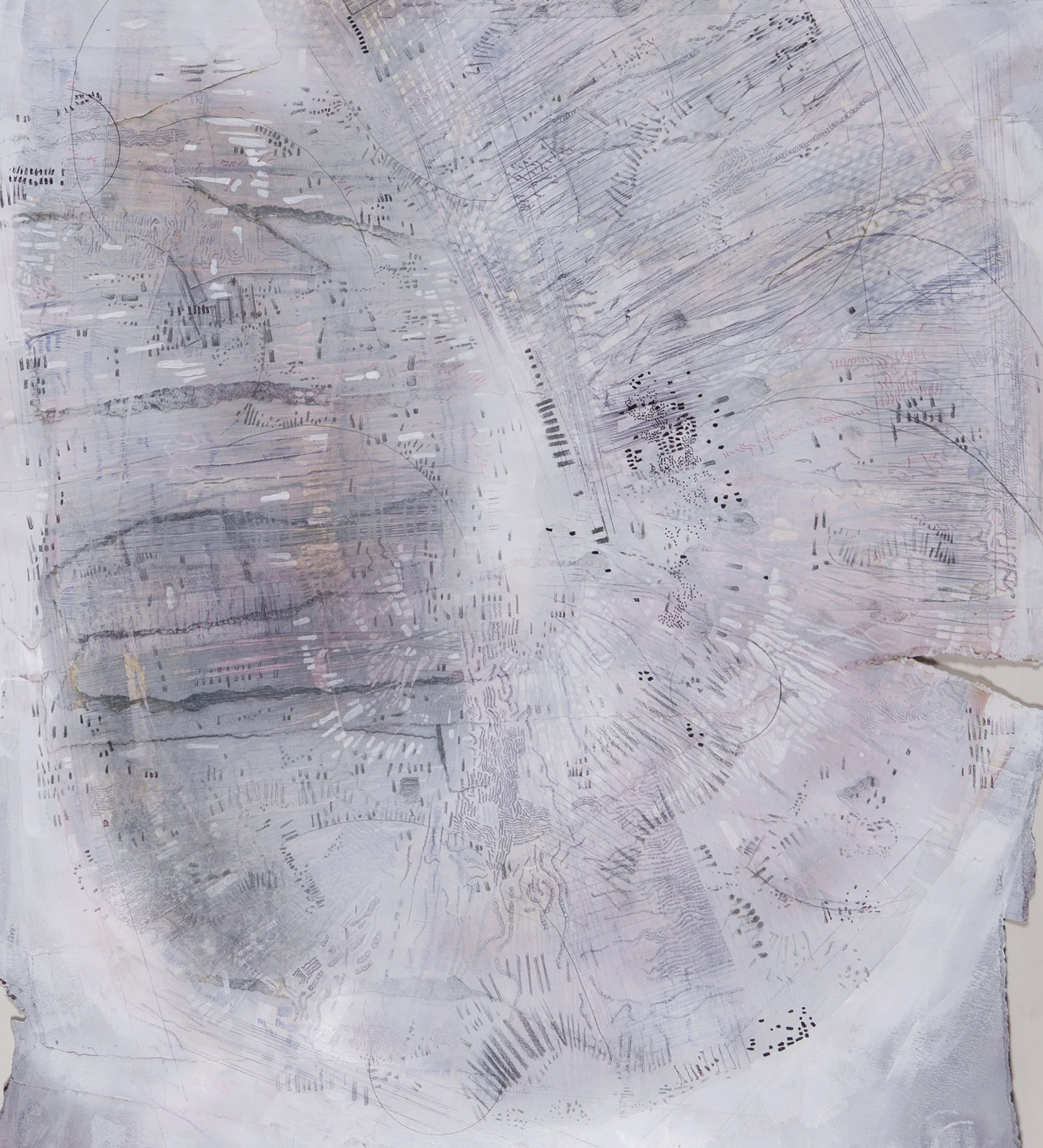 Worm (DETAIL)