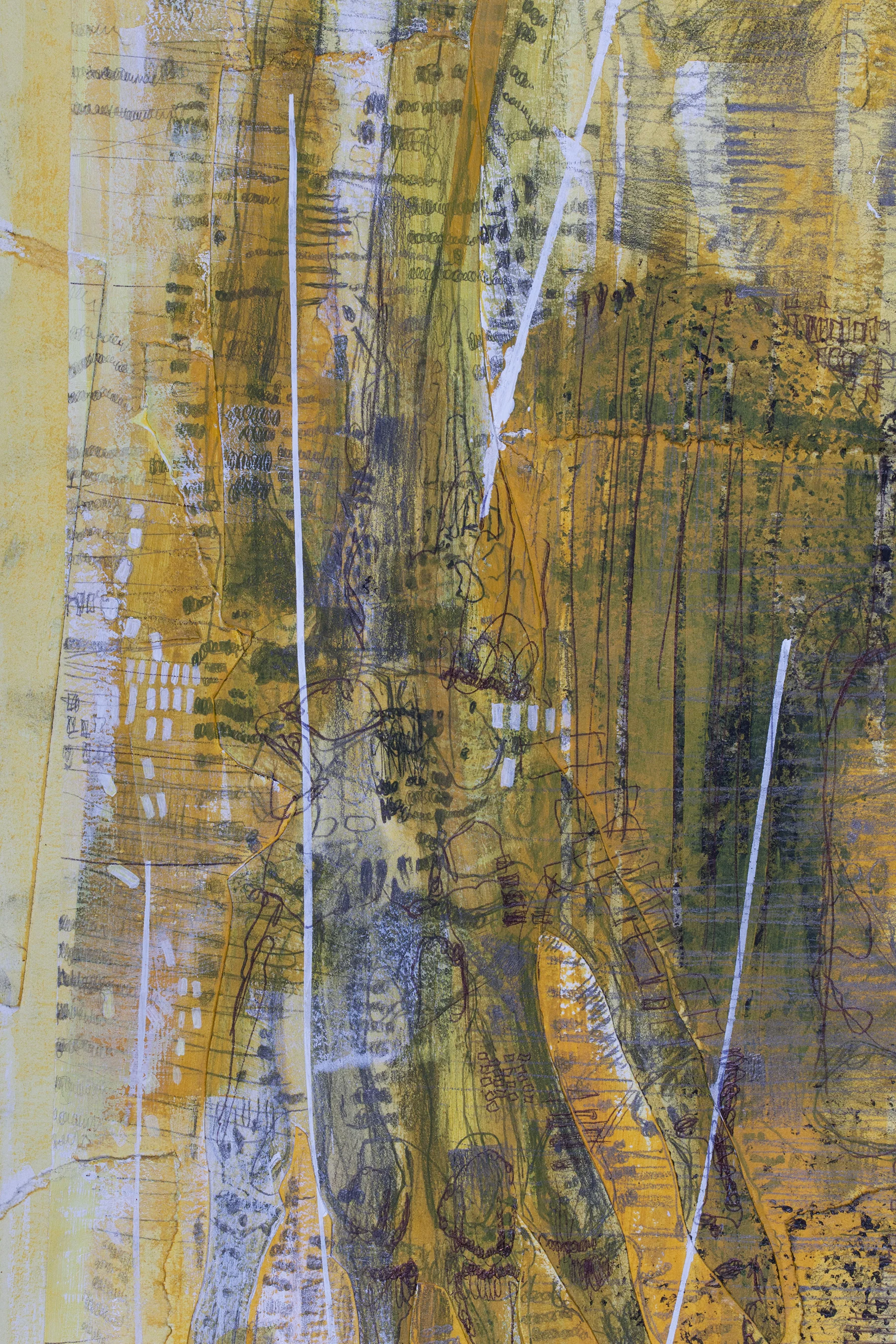 X-Ray (DETAIL)