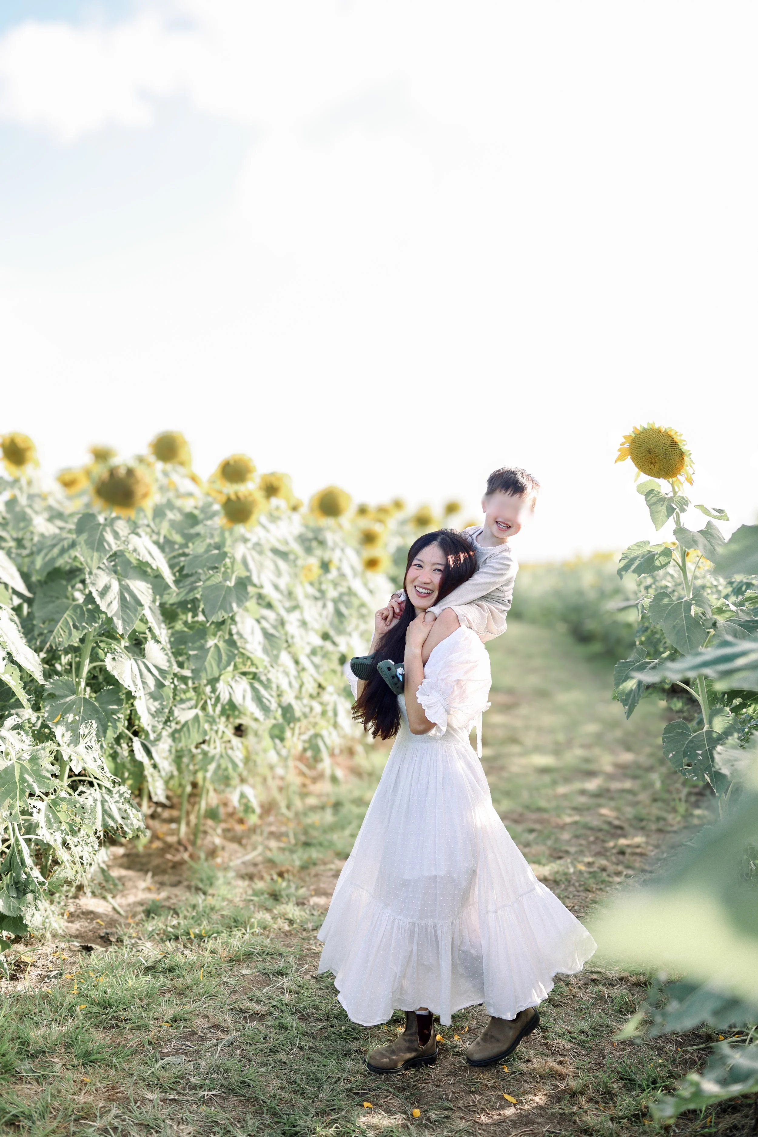 Sunflowers: Mez &amp; Monte