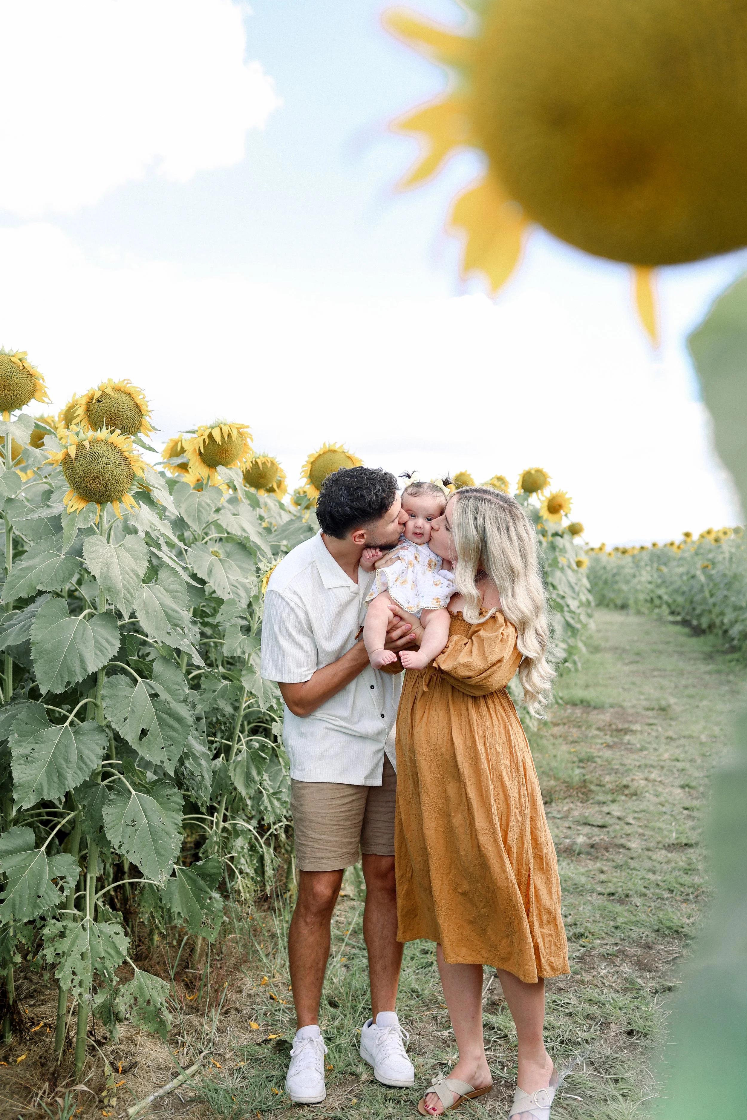 Sunflowers: Brooke 