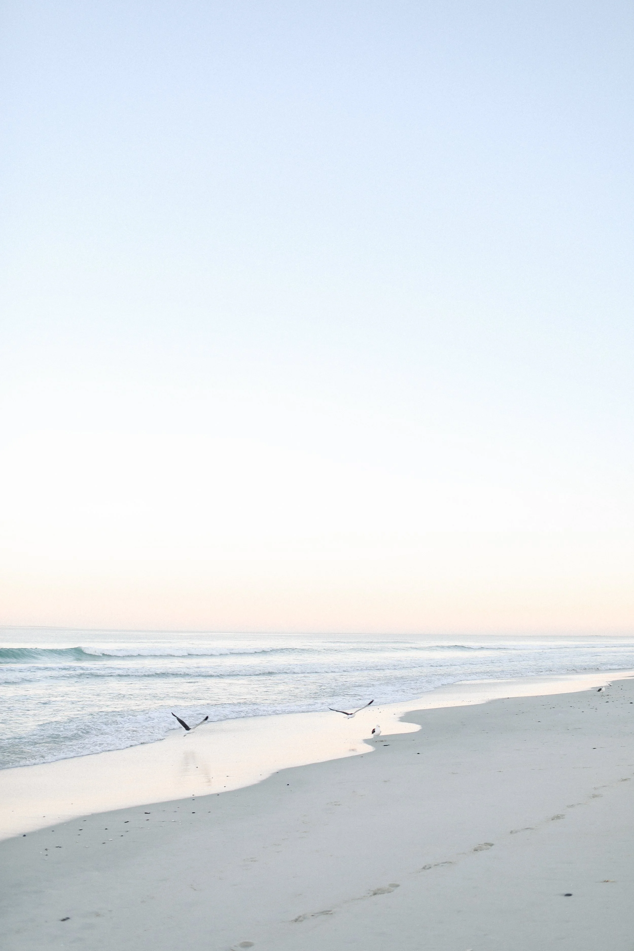Blouberg Beach seagulls at sunrise