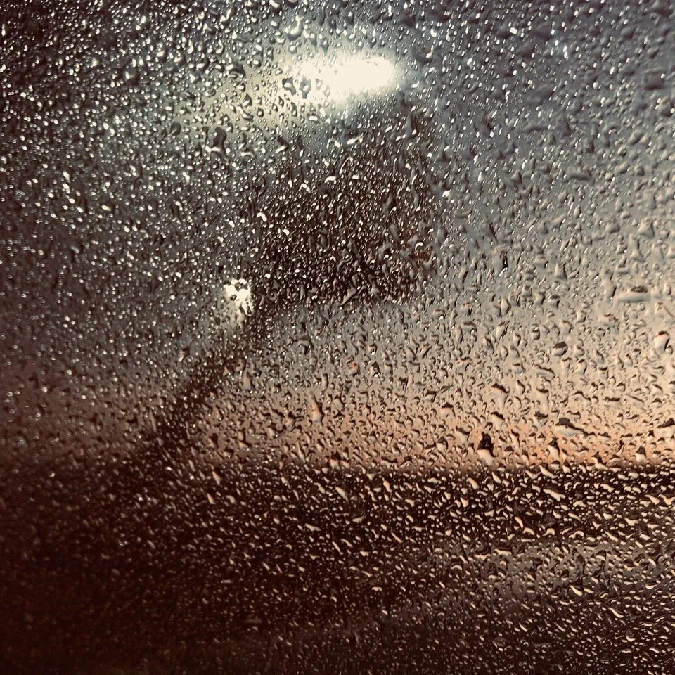 Boulder County Buzz - December 2019