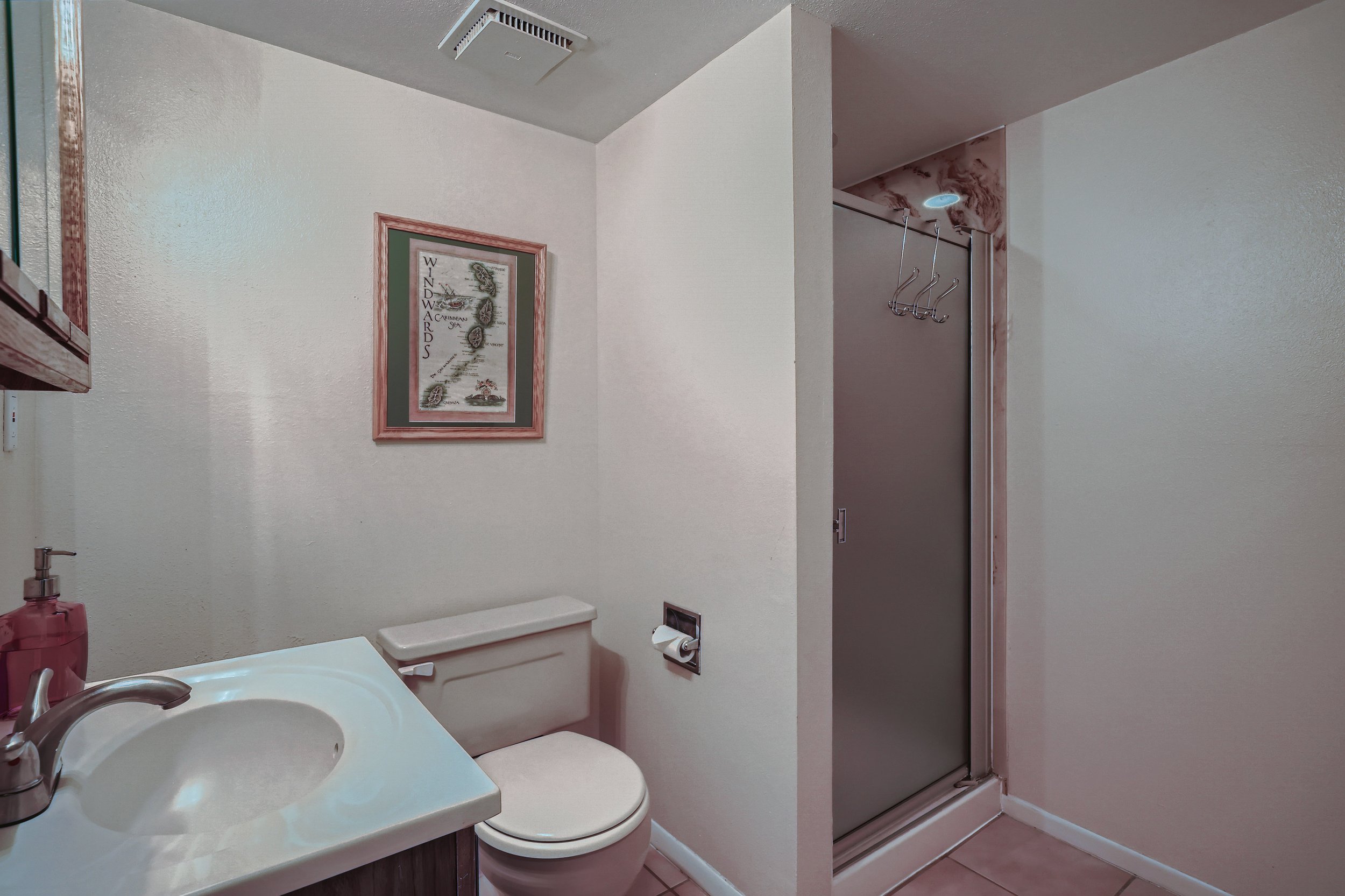 2103 Meadow Ct Longmont CO - Print Quality - 023 - 26 Lower Level Bathroom.jpg