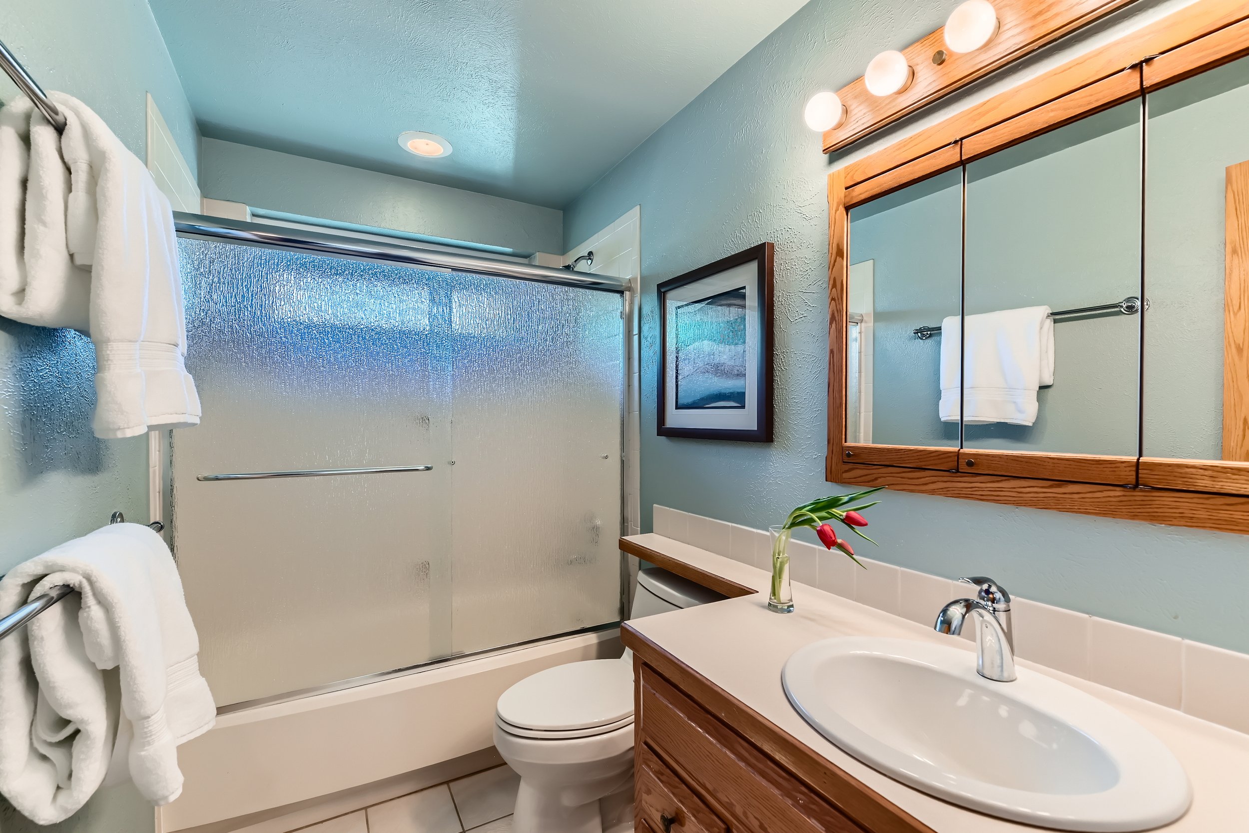 2949 Tincup Circle - Print Quality - 026 - 30 2nd Floor Bathroom.jpg