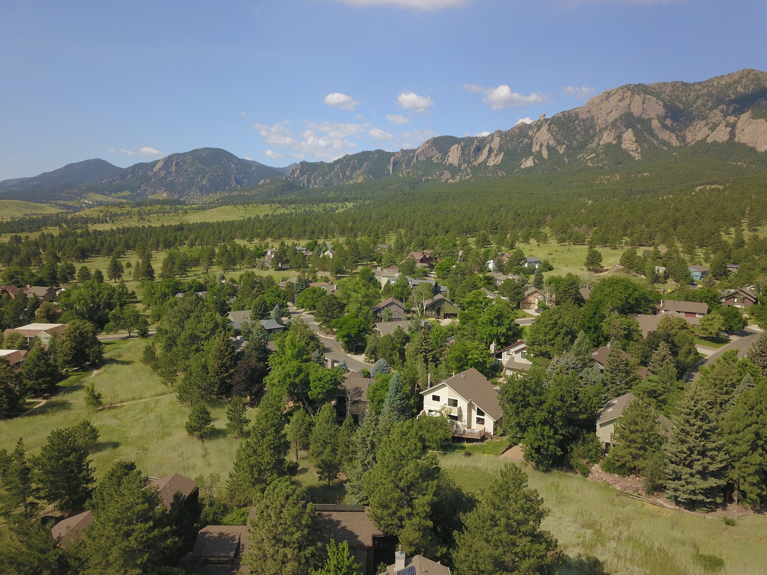 DJI_0317.jpg