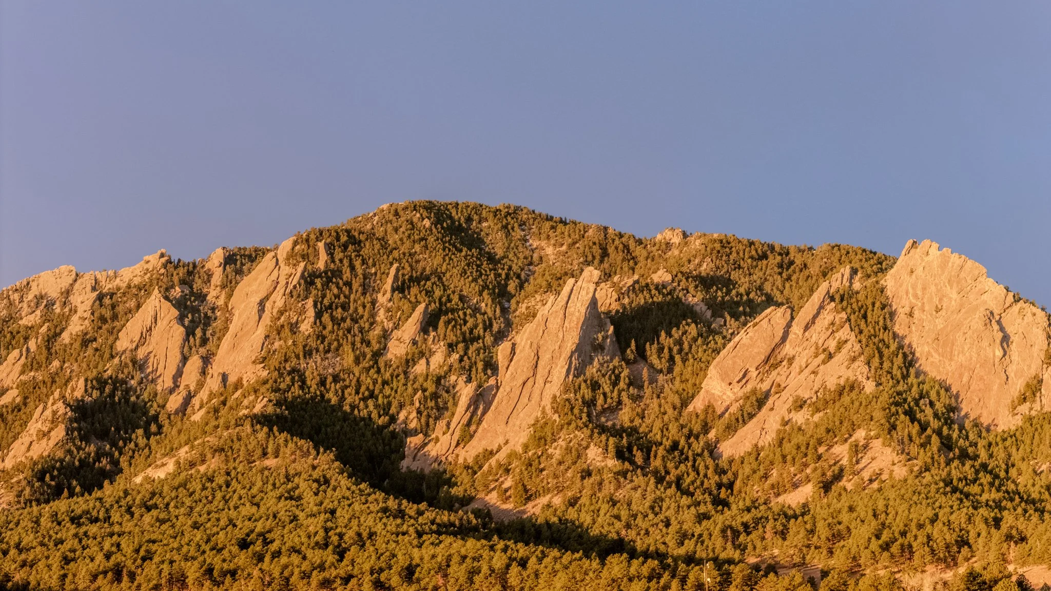 626 17th Street (2 of 60).jpg