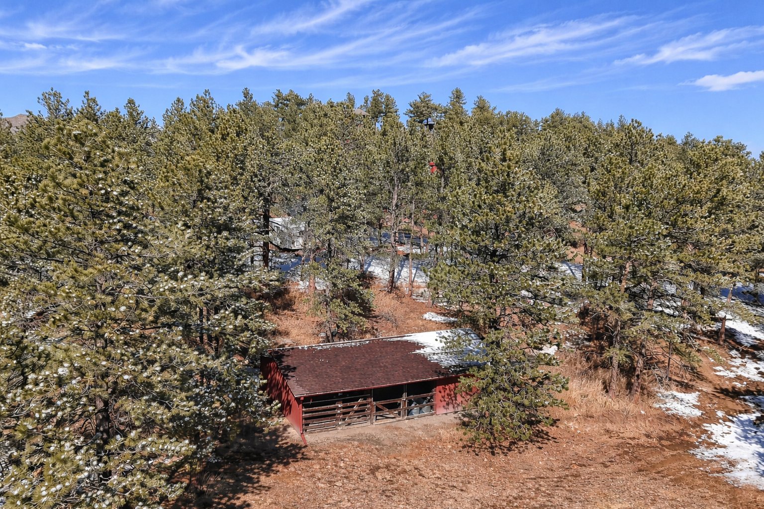 Rustic red shed in pine forest.jpg