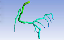 Cardivascular