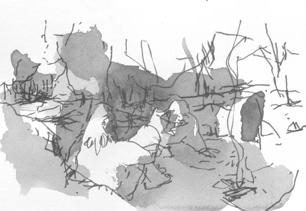 campfire