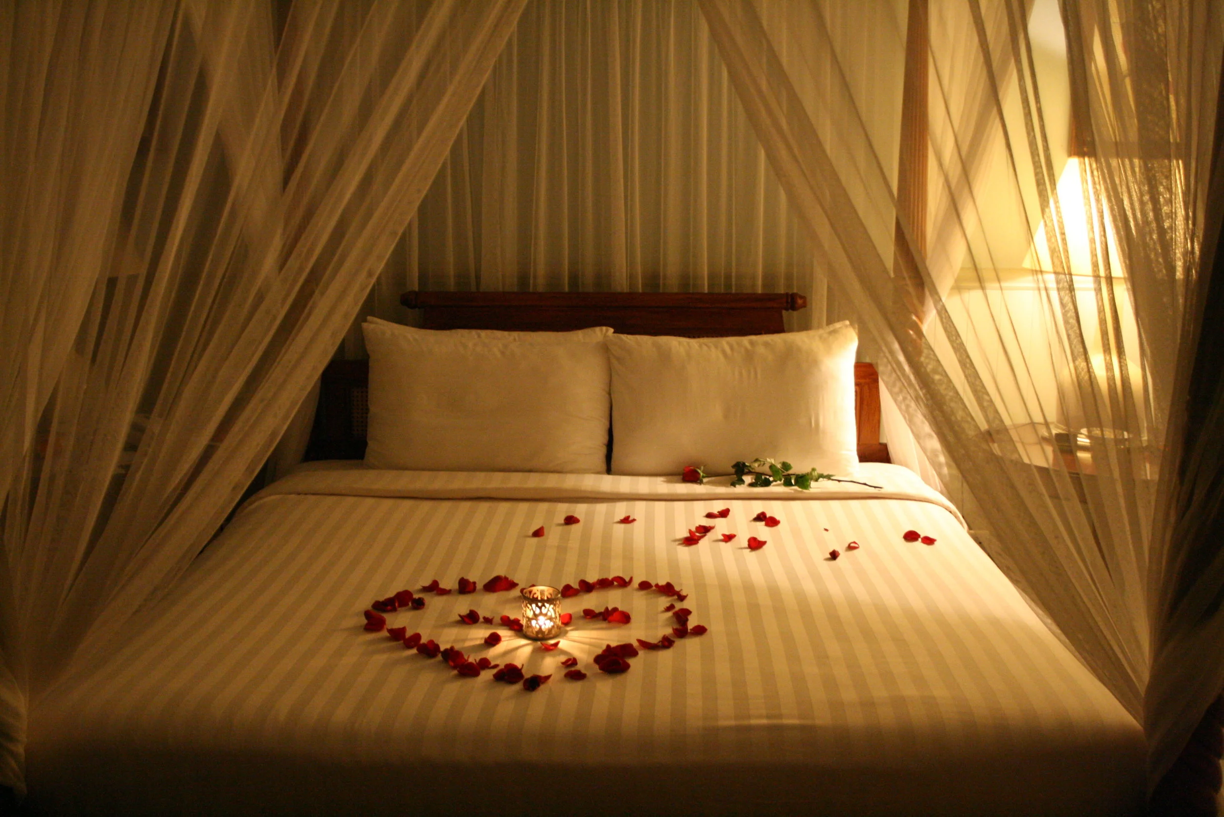 IMG_0277 (2013_05_21 08_17_58 UTC).JPG