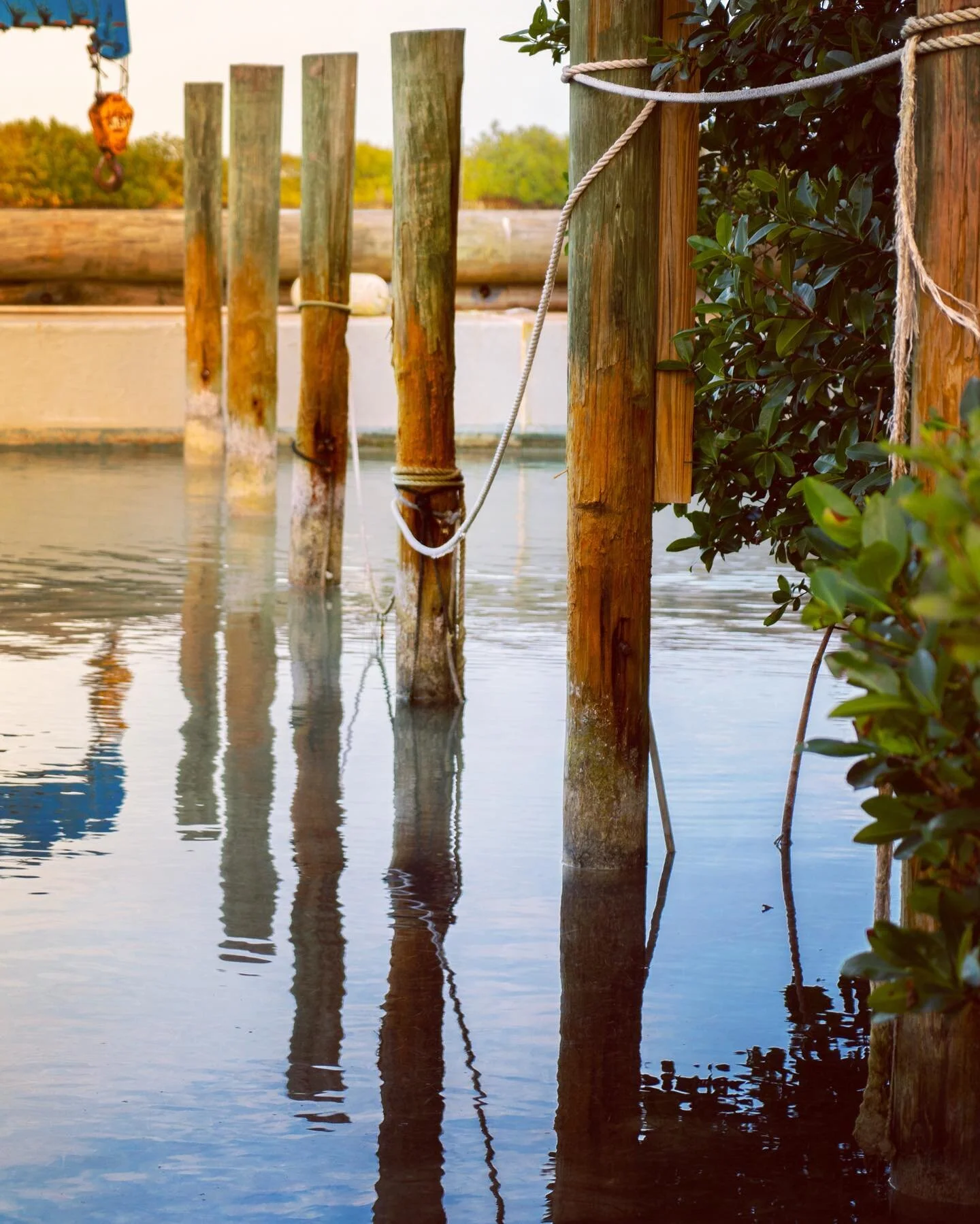 Time to just sit back and enjoy the view. Happy Sunday ☀️ 

#nature #florida #beautiful  #water #calmday #bluewater #dock #floridakeys #duckkeyflorida #beautifulday #calm #ripples #naturelovers #naturephotography 

#vacation #getaway #peaceful 

#Jus