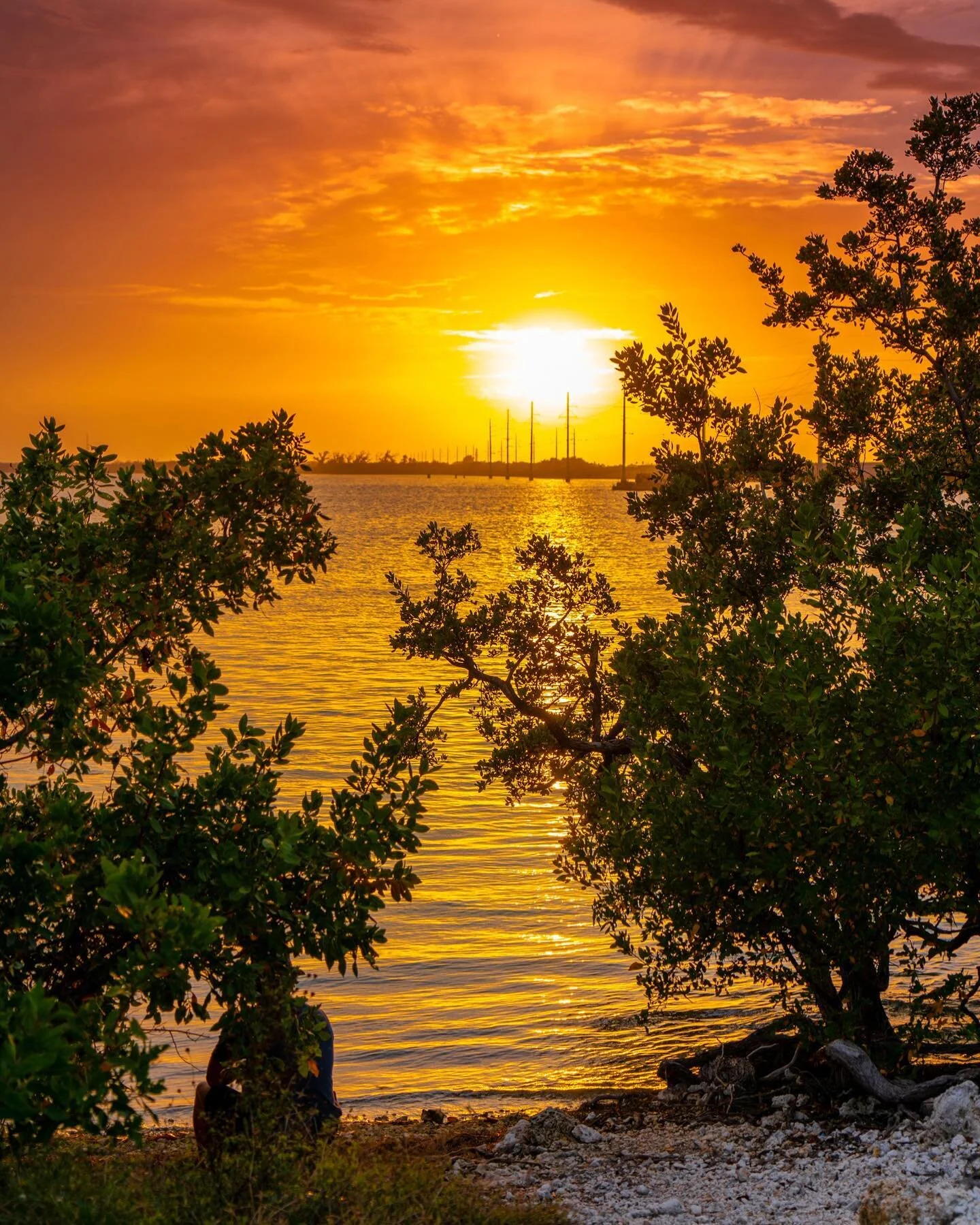 What a perfect way to end a day. 

#sunset #sunsetphotography #nature #orangesky #florida #ocean #sunsetOnTheWater #beautiful #warmWeather #beaches #water #naturelovers #florida #floridakeys #thekeys #duckkeyflorida #sunsetlover #sunsetlove 

#vacati