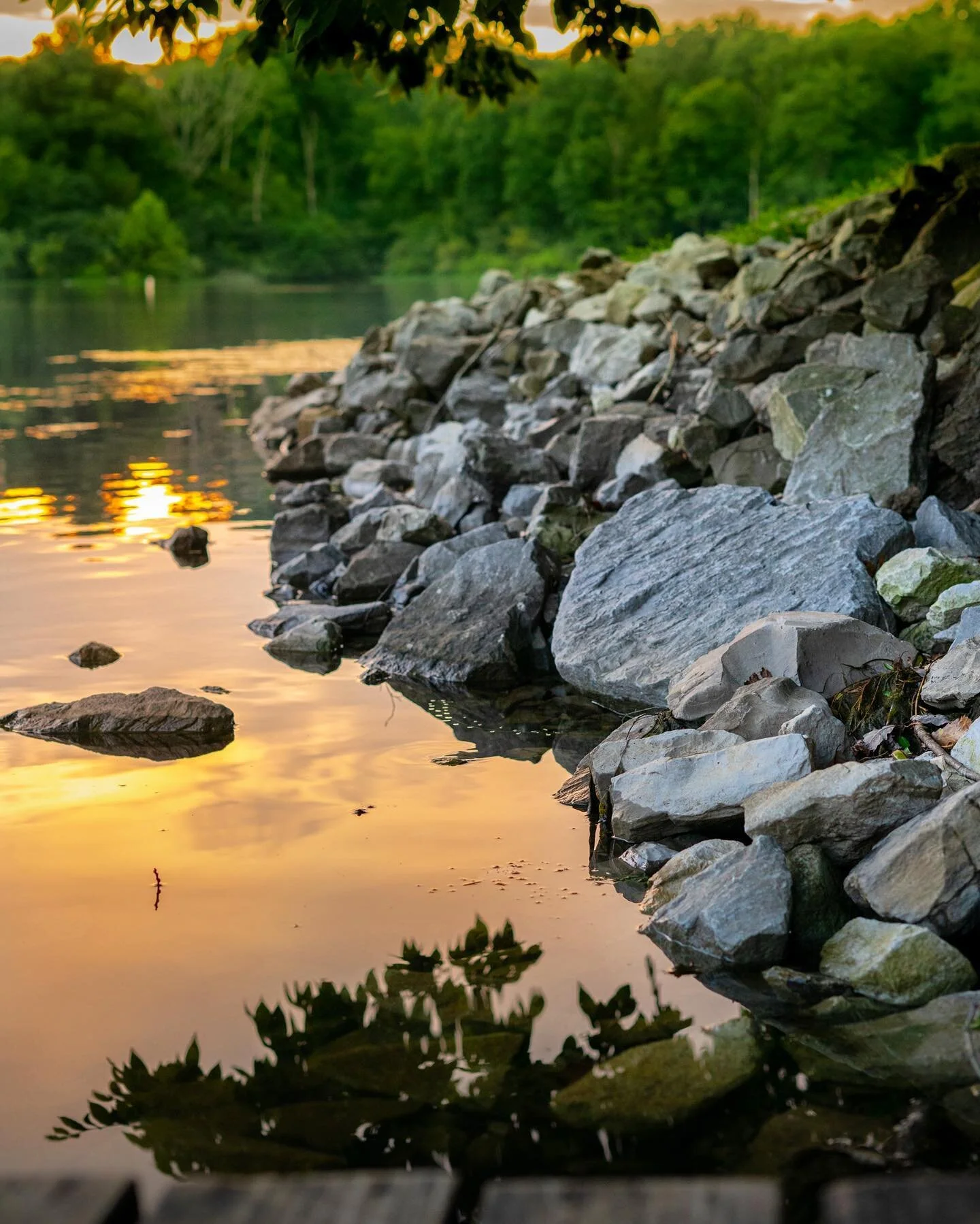 We loved our trip down to Carbondale last summer. So much beautiful nature and places to explore. 

#sunset #water #lake #reflections #sunsetonthewater #summer #rocks #summervibes #happyplace #warm #illinois #carbondale #summertime 

#NatureLovers #N